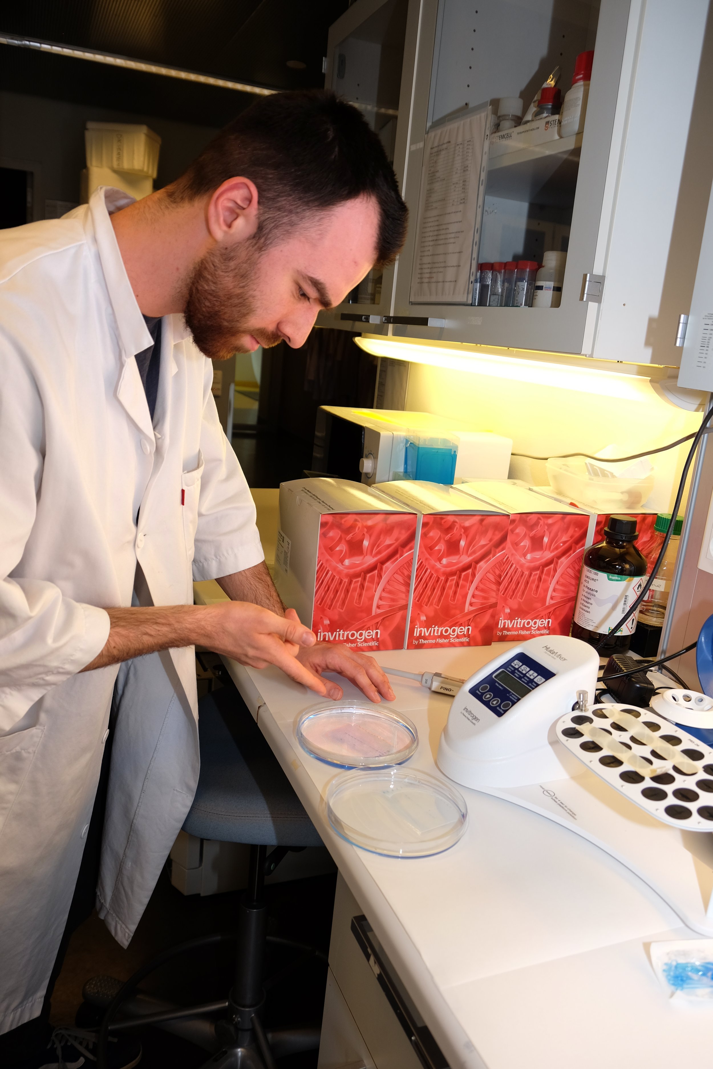 Nyttårshilsen fra Team Bjørås