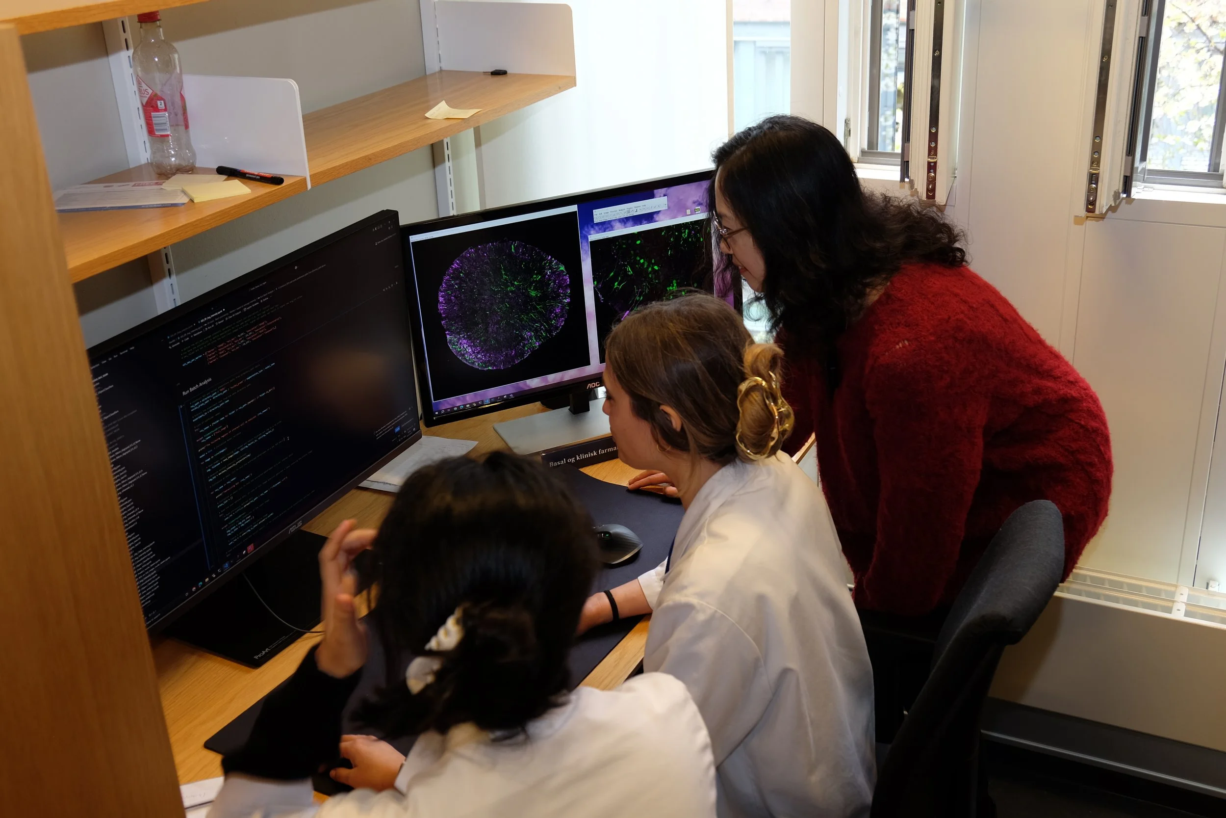 Fra stamceller til&nbsp; organoider