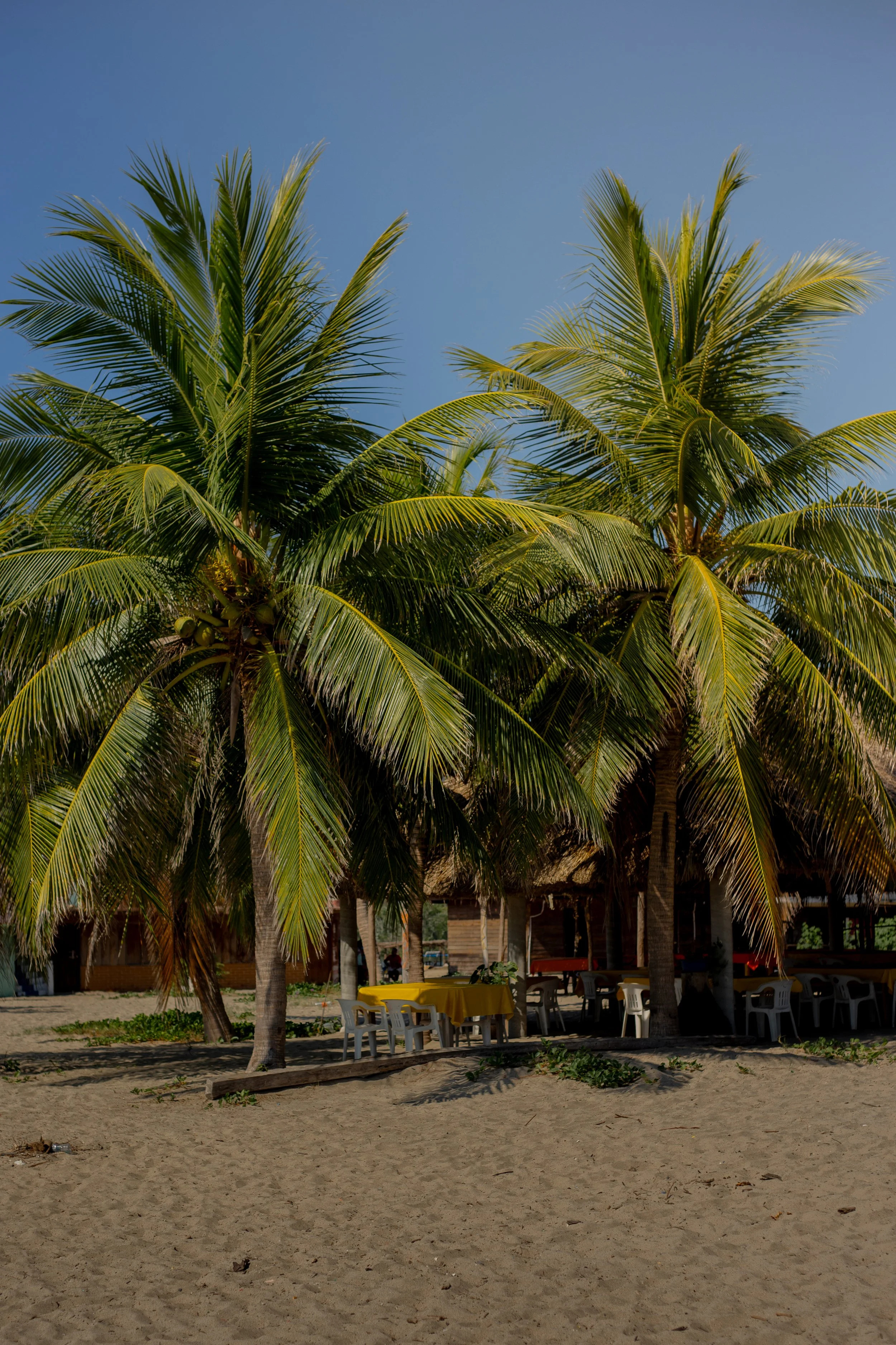 footgrafía mexico merida yucatan fotografo turismo  (181).jpg