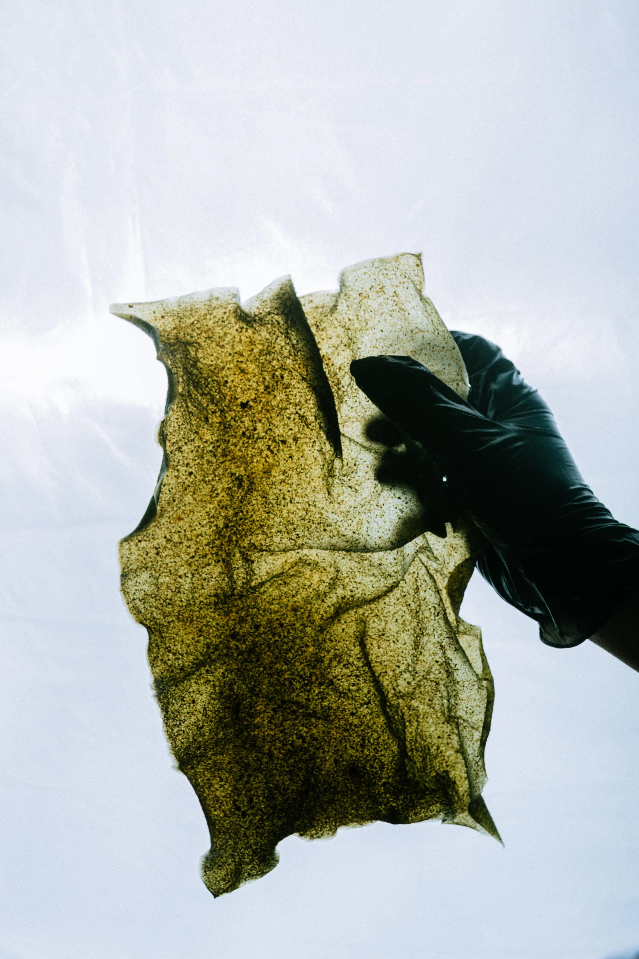 Shooting_ Biotextiles