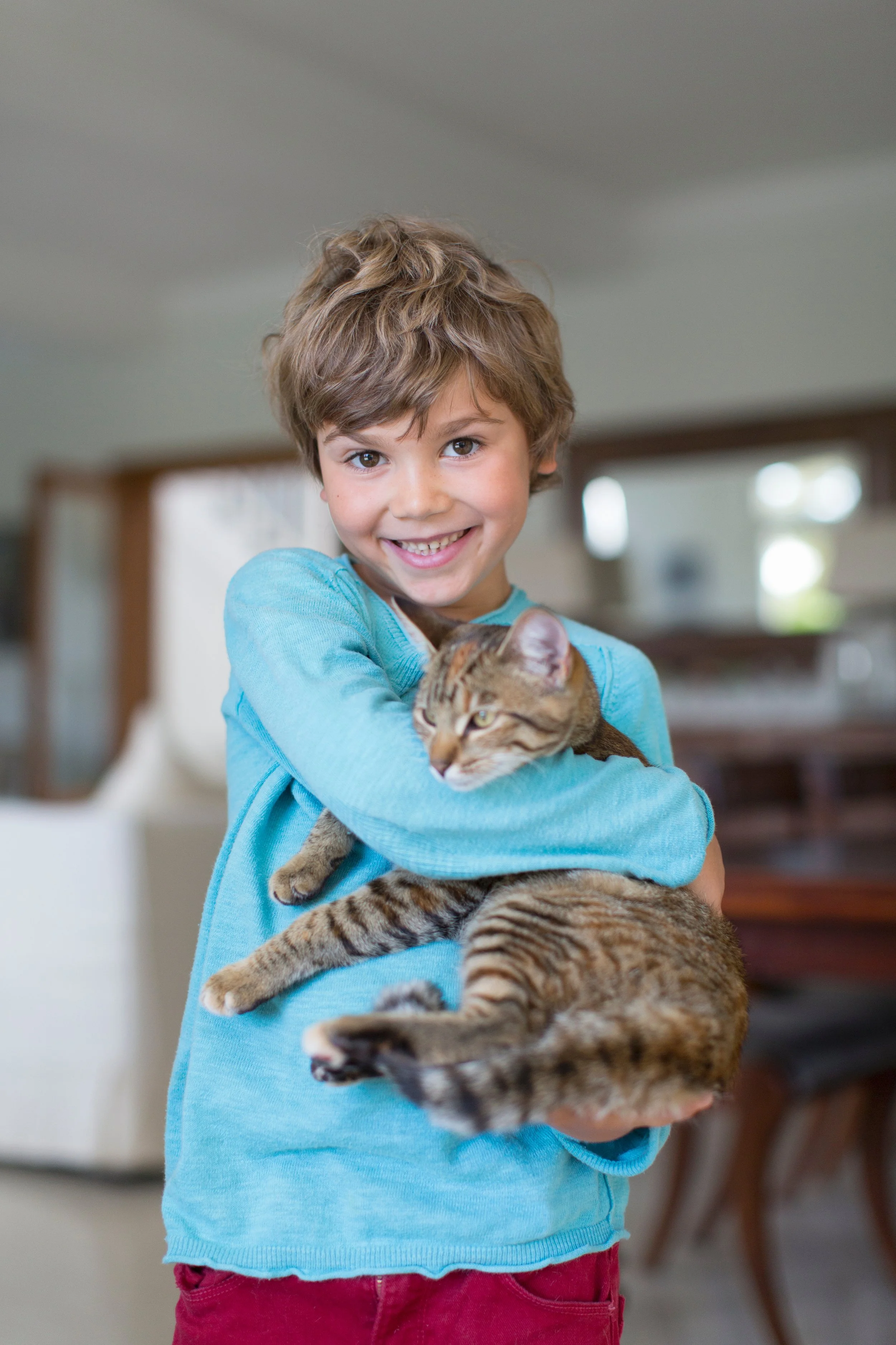 A young boy smiling and holding a large, striped tabby cat inside a home.