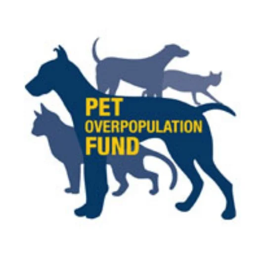 pet overpopulation.jpg