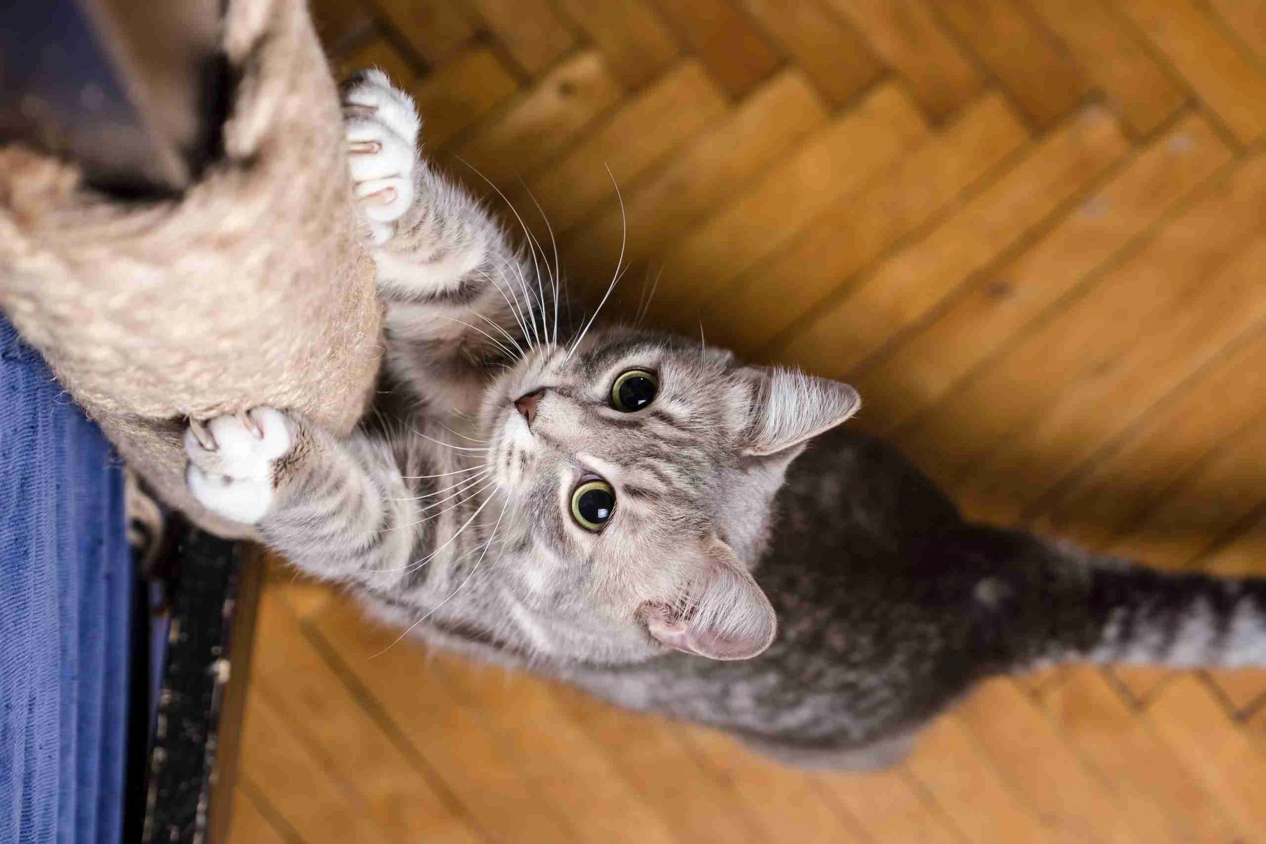 AdobeStock_242867190-scaled.jpeg