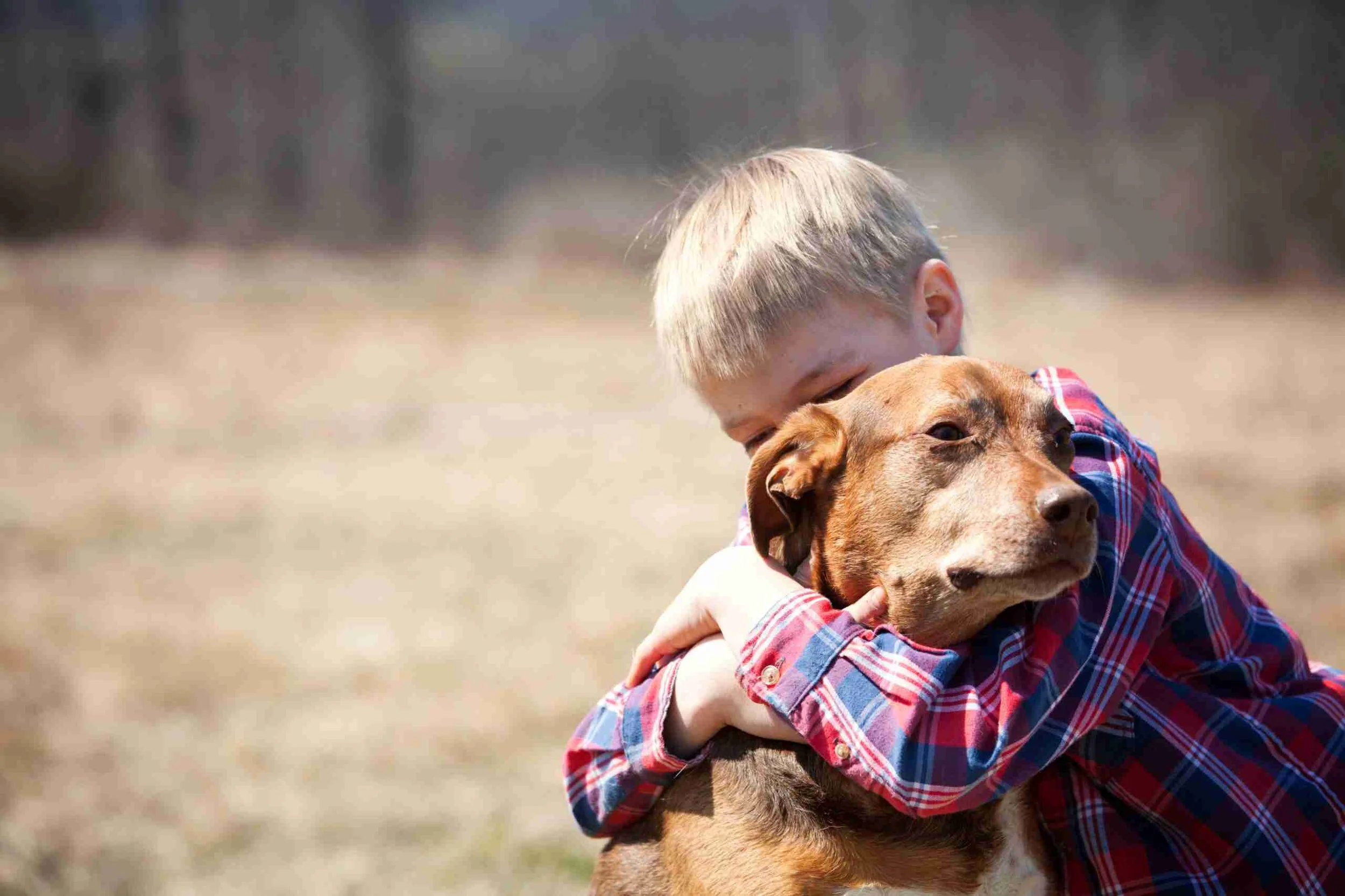 boy hugging his dog.jpeg