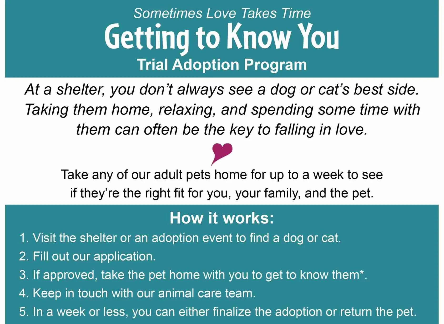 TrialAdoption-scaled-e1725913192544 (1).jpg