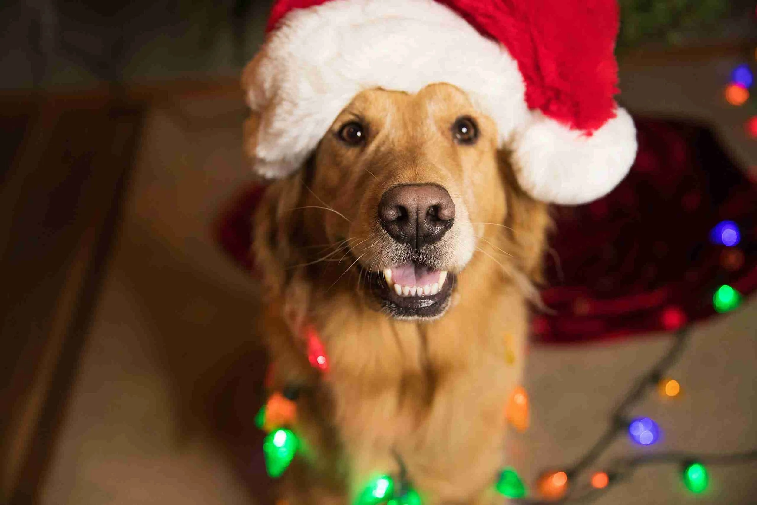 AdobeStock_128428060-scaled.jpeg