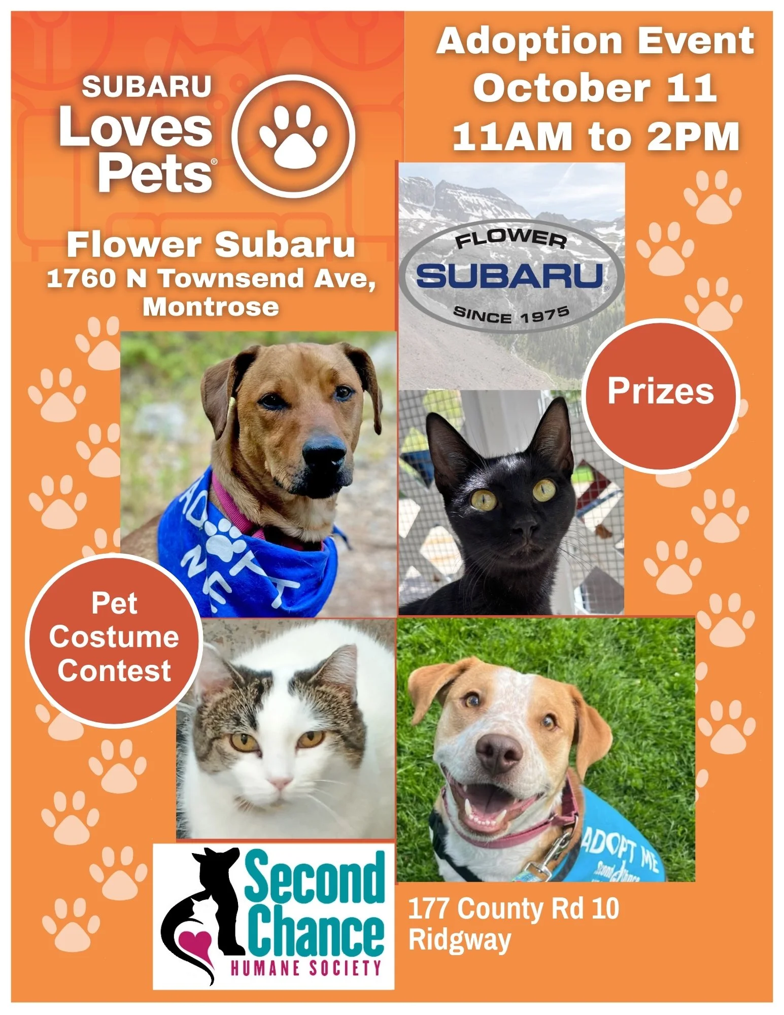 Subaru Loves Pets Adoption Event at Flower Subaru