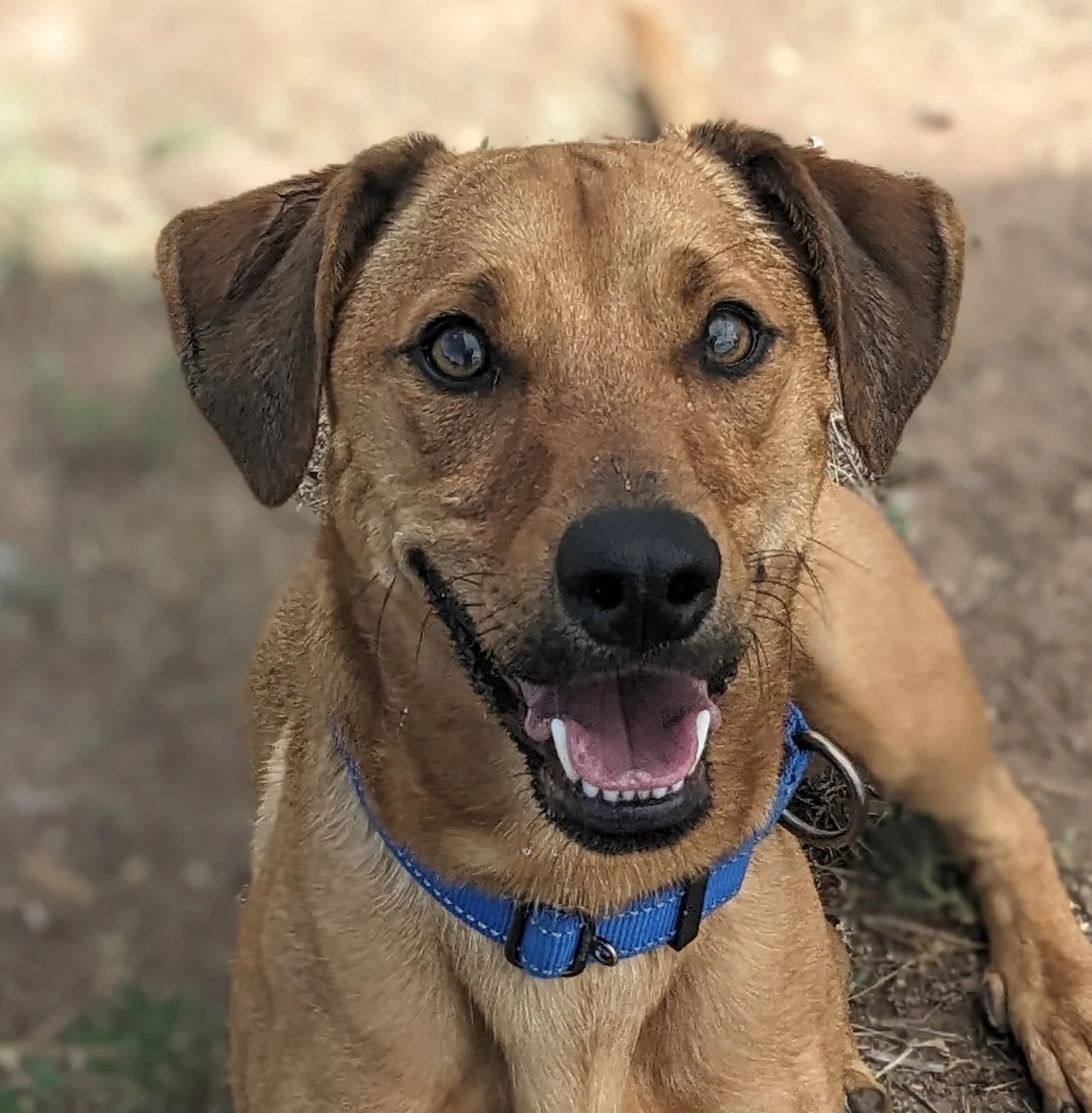 New Year, Same Faces