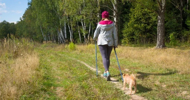 hiking2.jpg