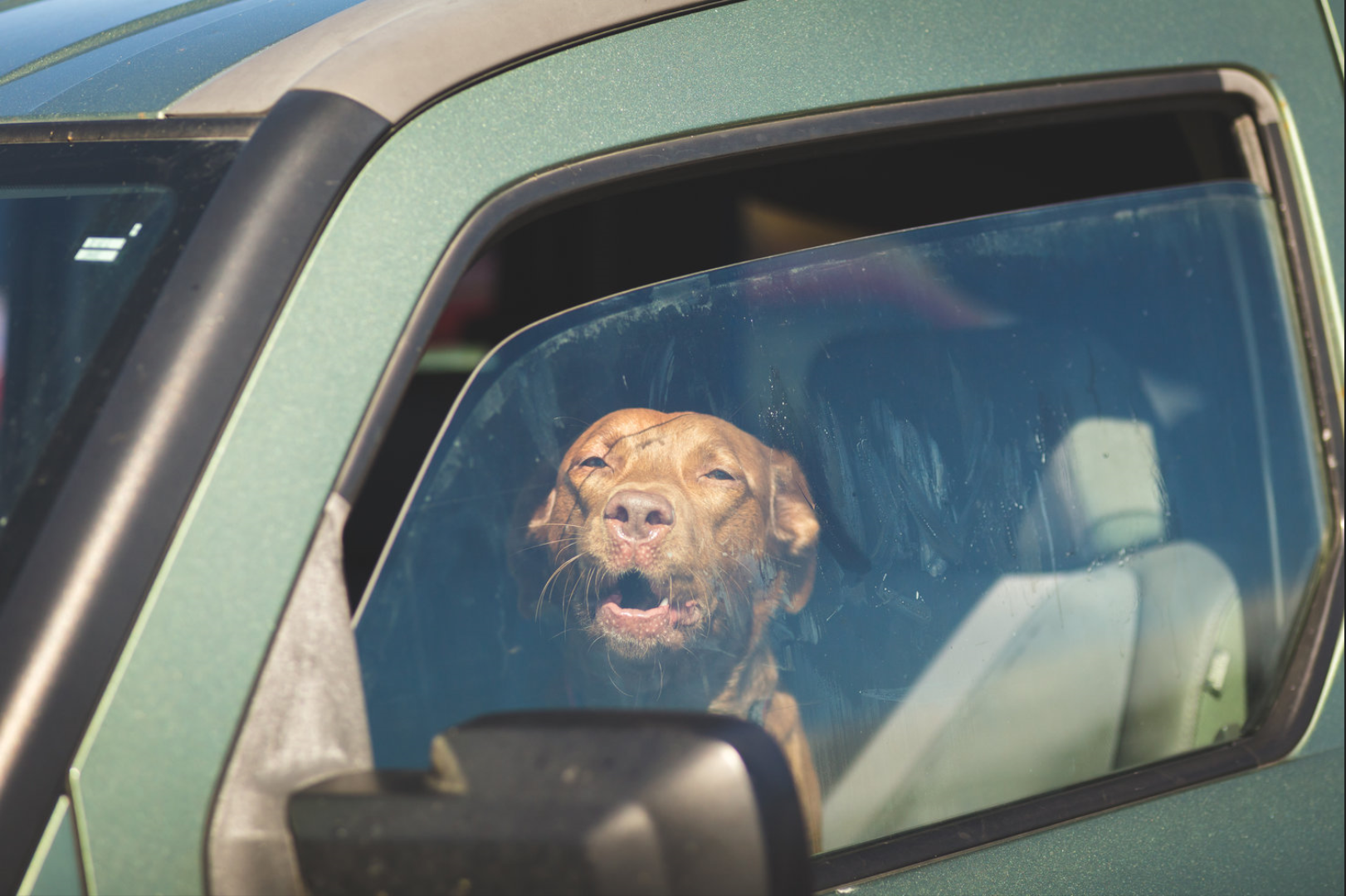 Friends Don’t Leave Friends in Hot Cars