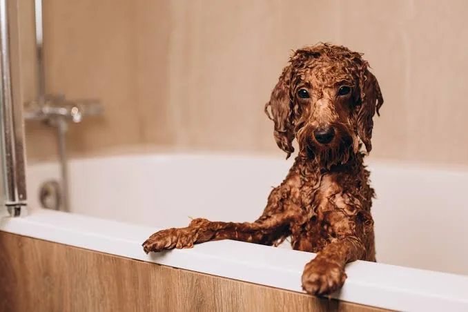 Desensitizing Bathtime