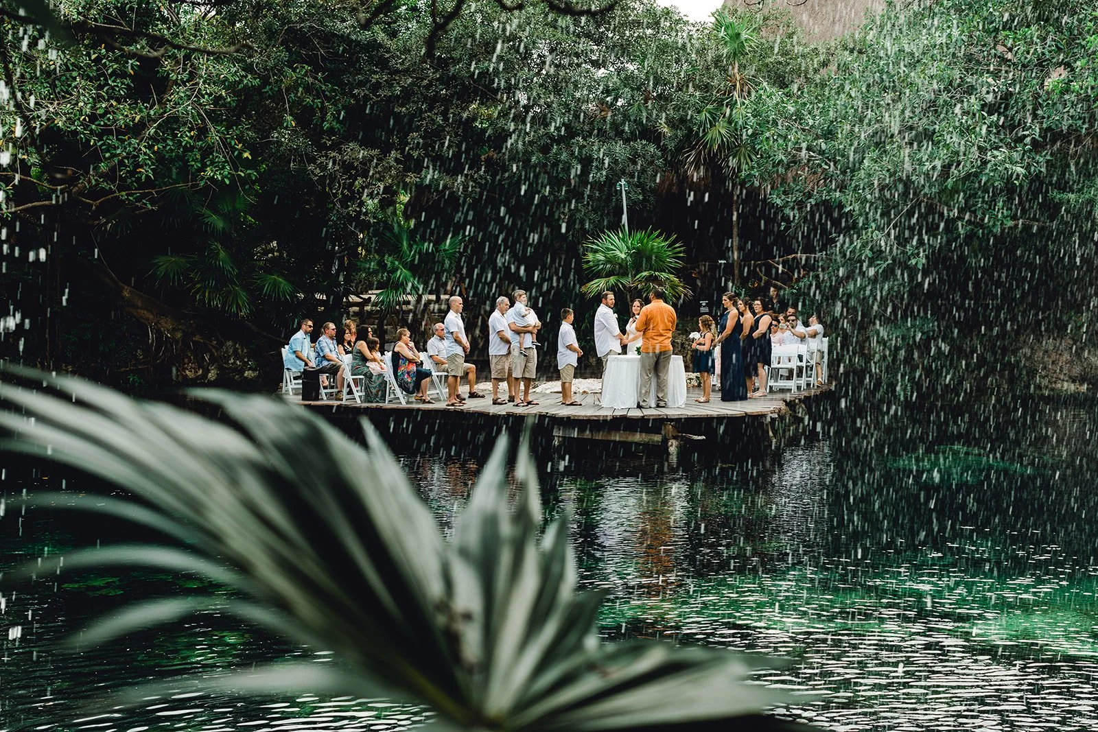 3819840_websize (1).jpg