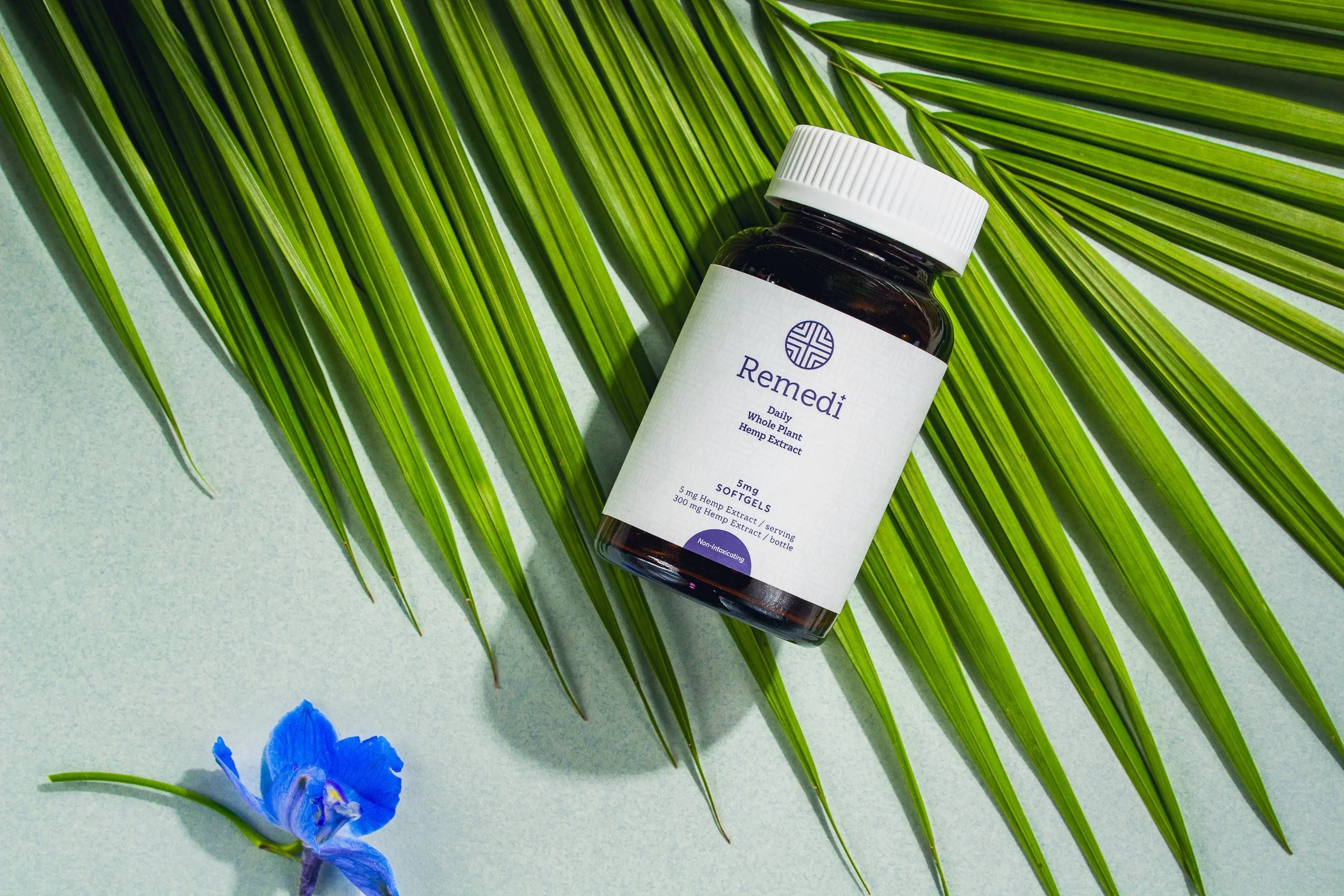 remedi-cbd-wellness-campaign-zoe-rain-studio-18.jpg