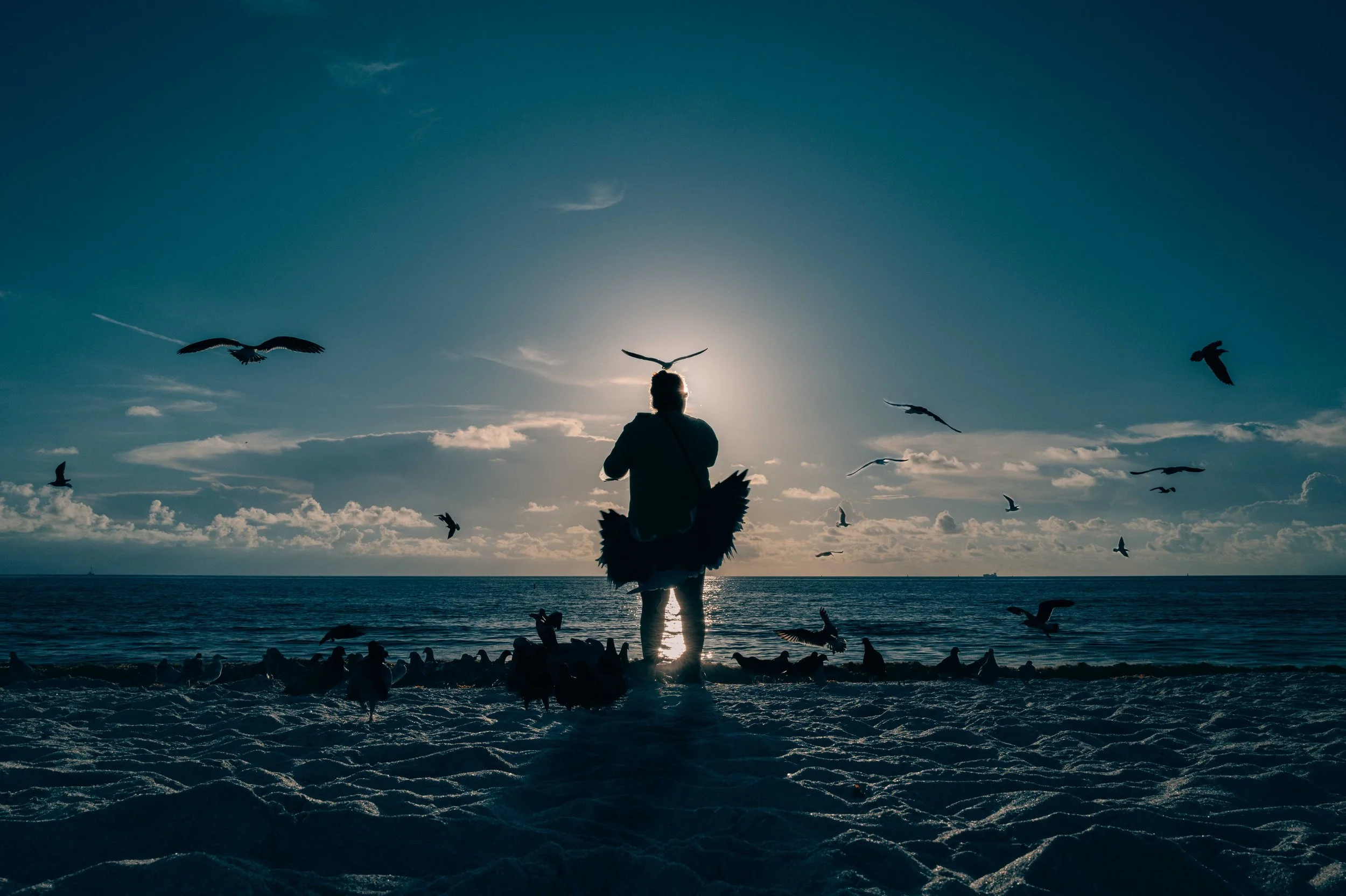 Bird Lady_Paul O'Malley.jpg