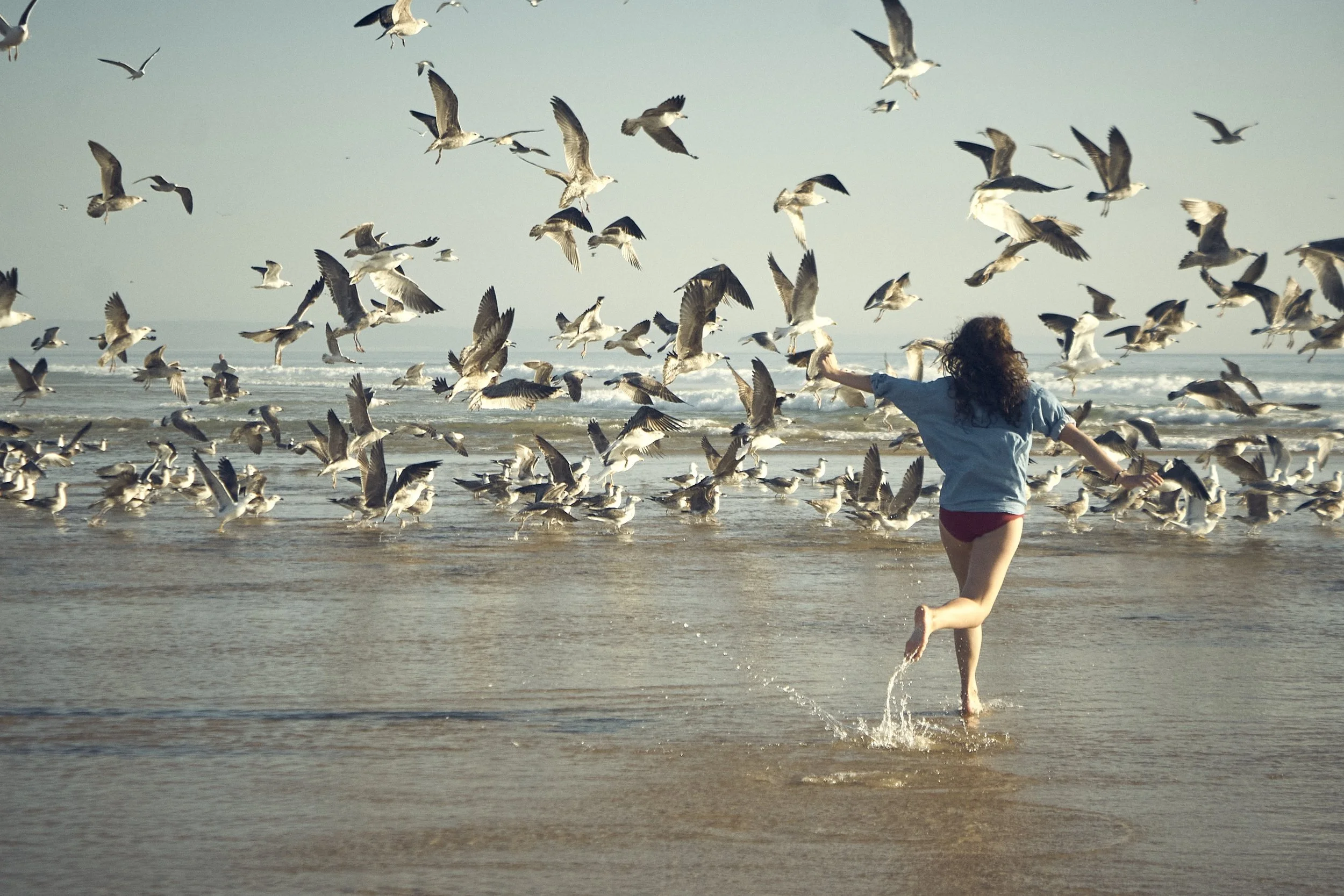 04_Daria-Huxley_Chasing Seagulls-2.jpeg