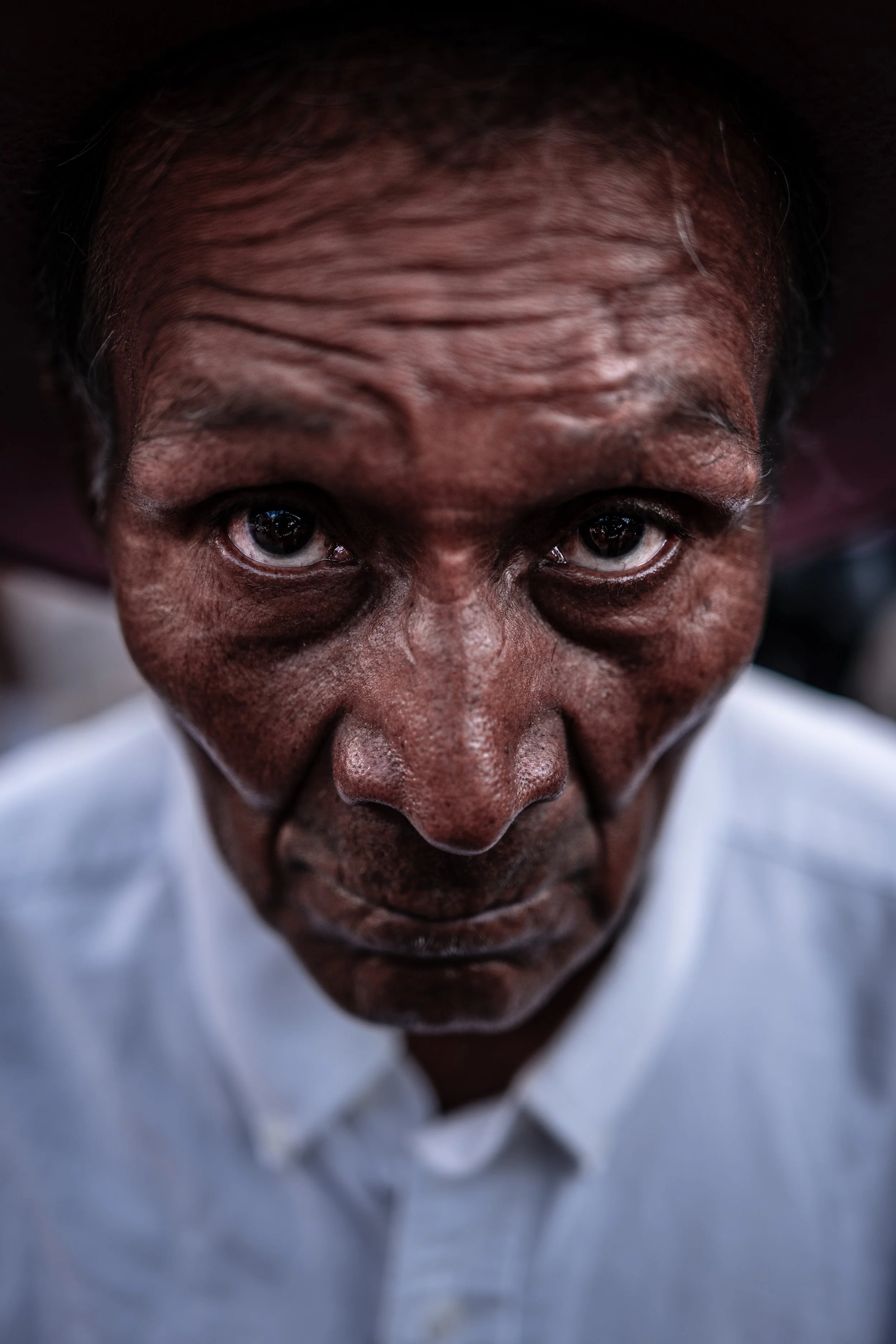 Into the Deep ..jpeg