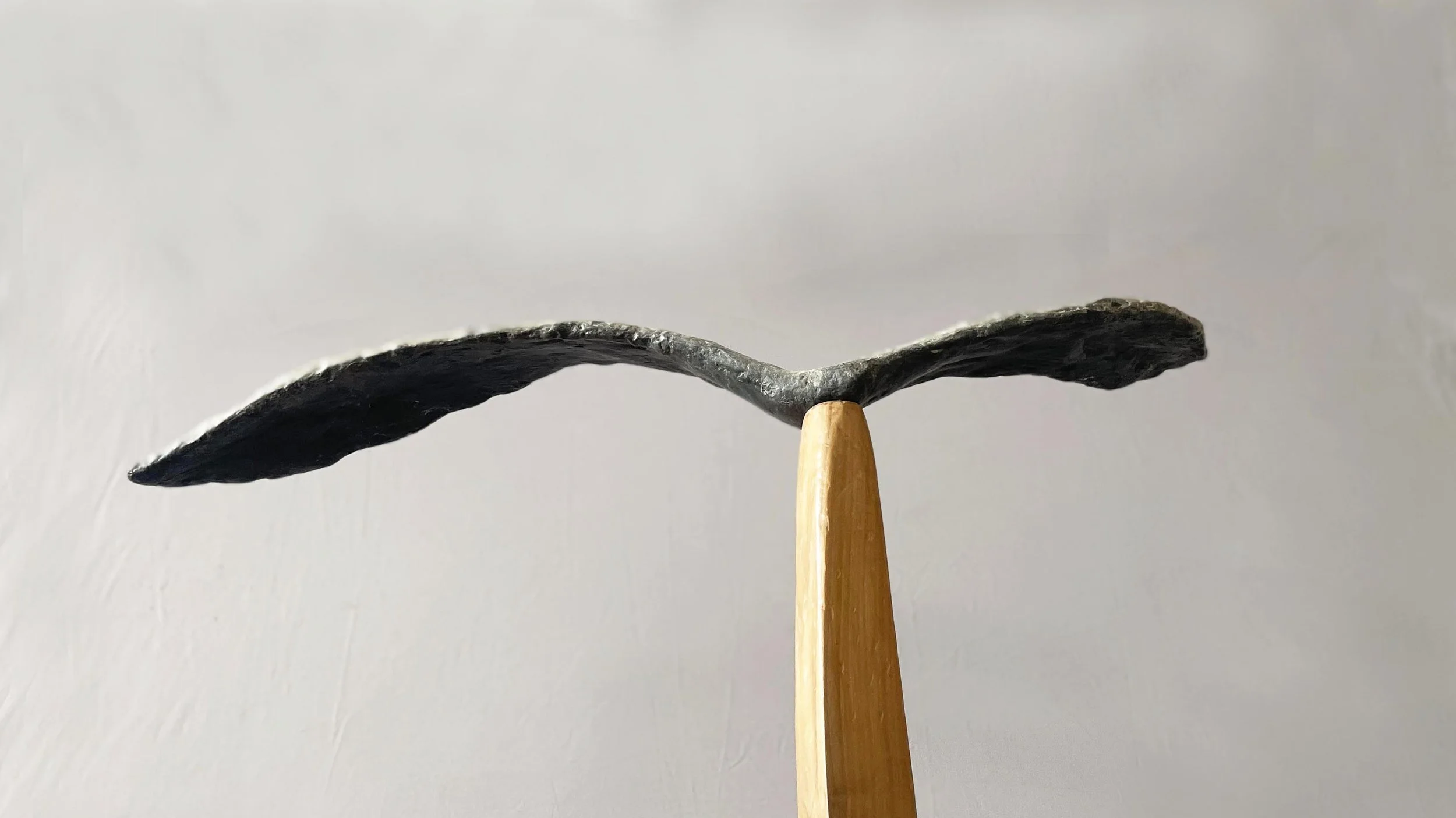 Noa-Dream from below.jpeg