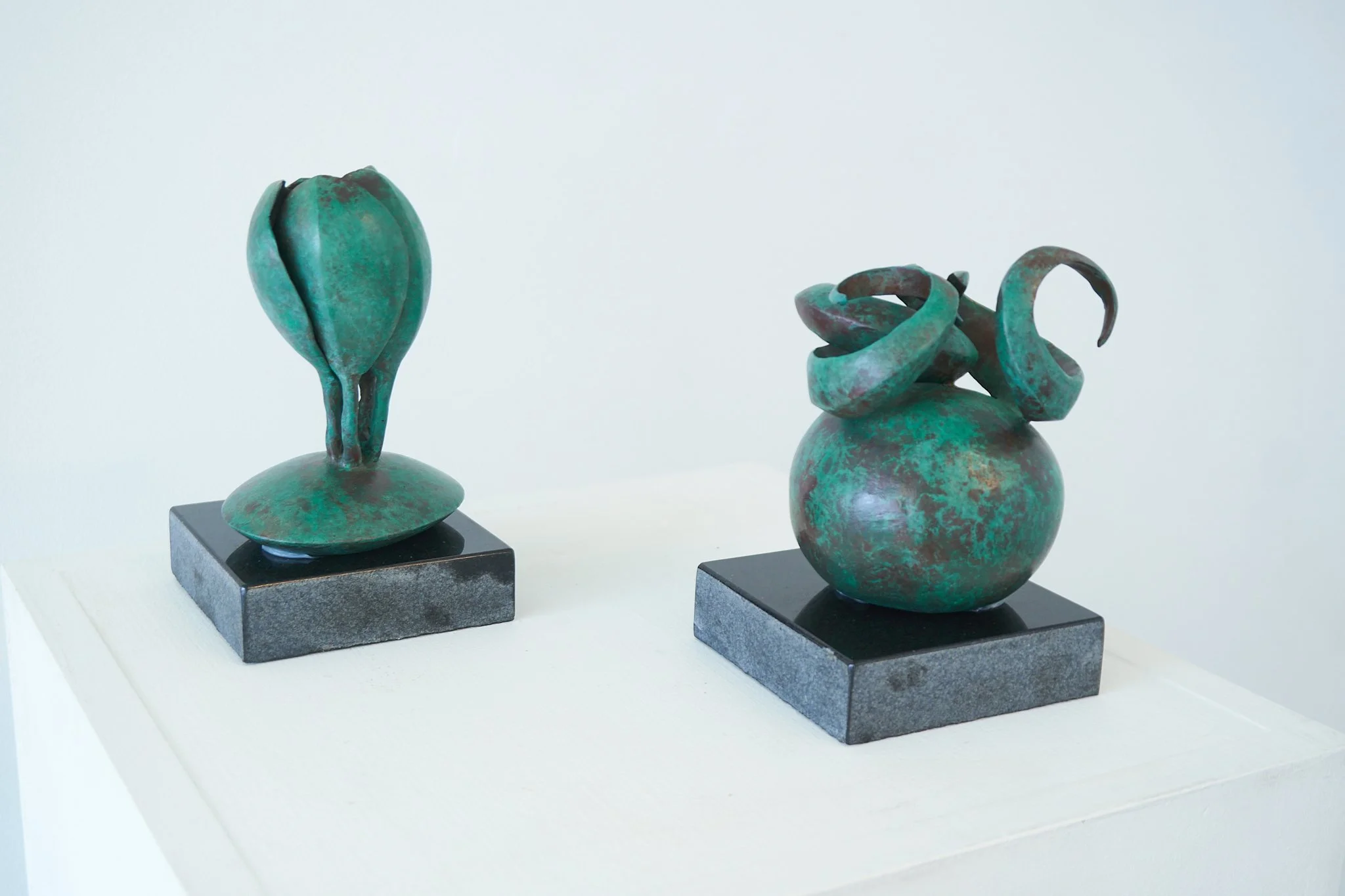 andree 8_ankydyn gallery sprouting & rerouting.jpg