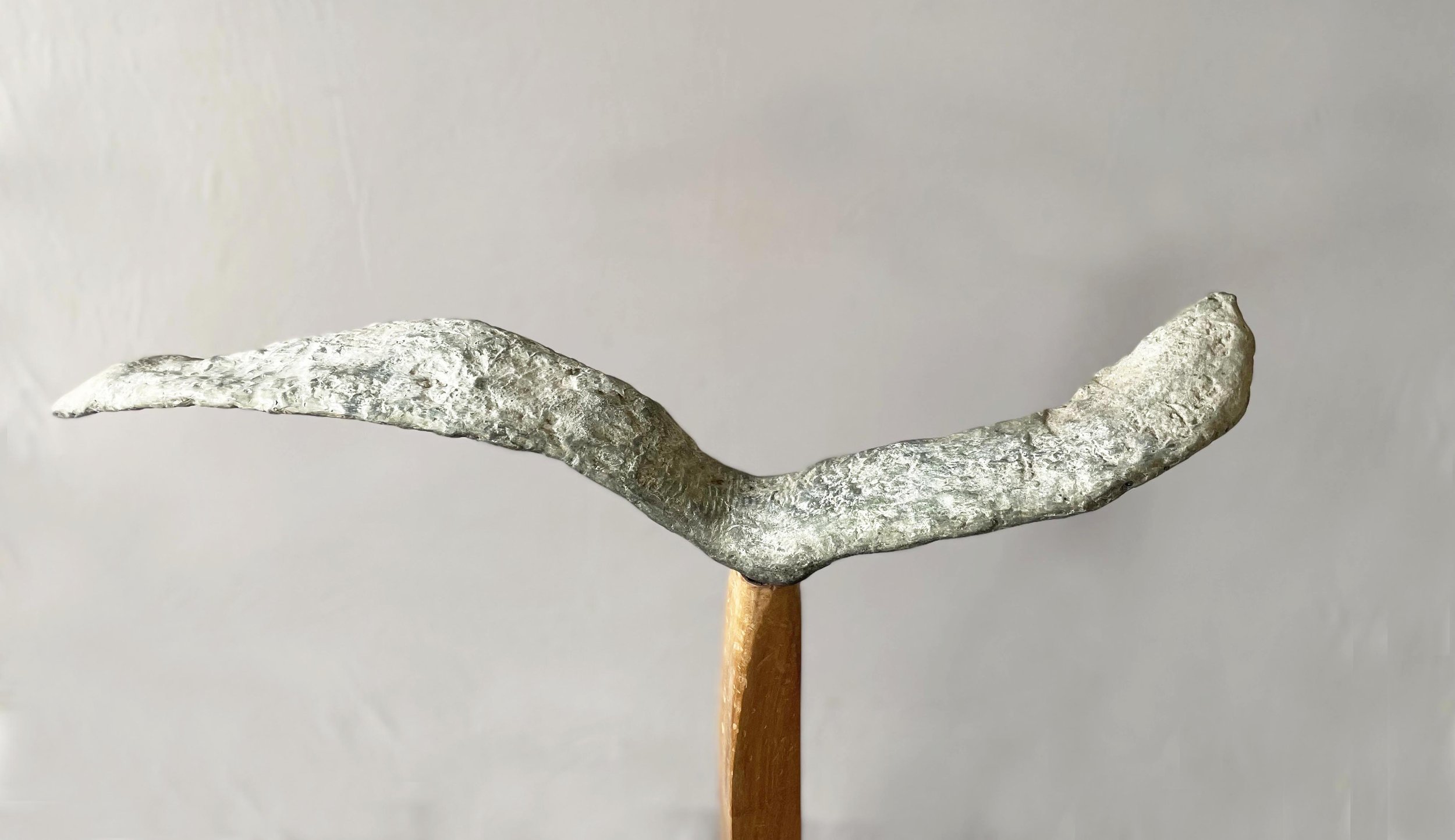 Noa-Dream..from above.jpeg