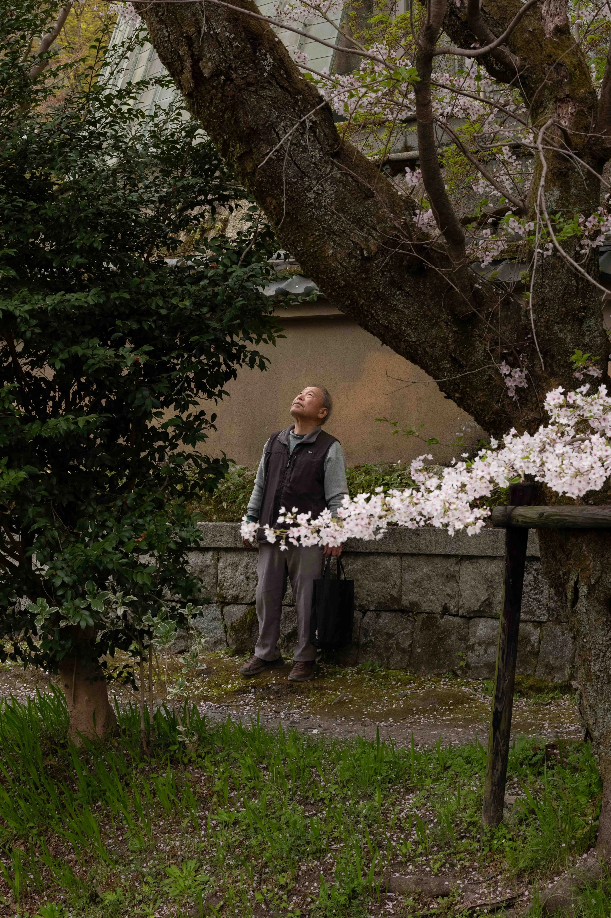 2025-04-10 Kyoto Day 410.jpg