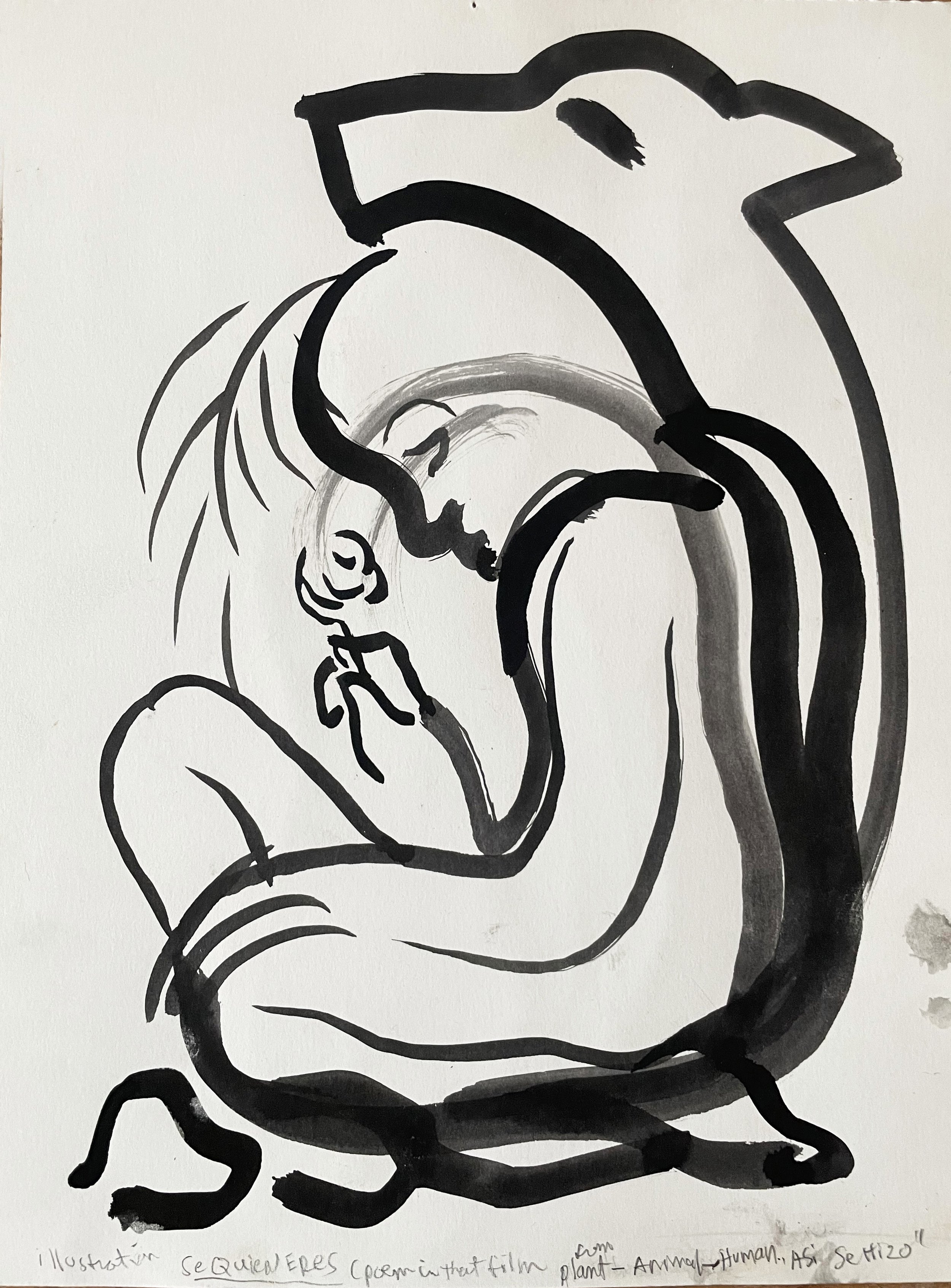 Noa-Asi Se Hizo -that's how it was done-stone- plant-anima-human-consciousness.jpg