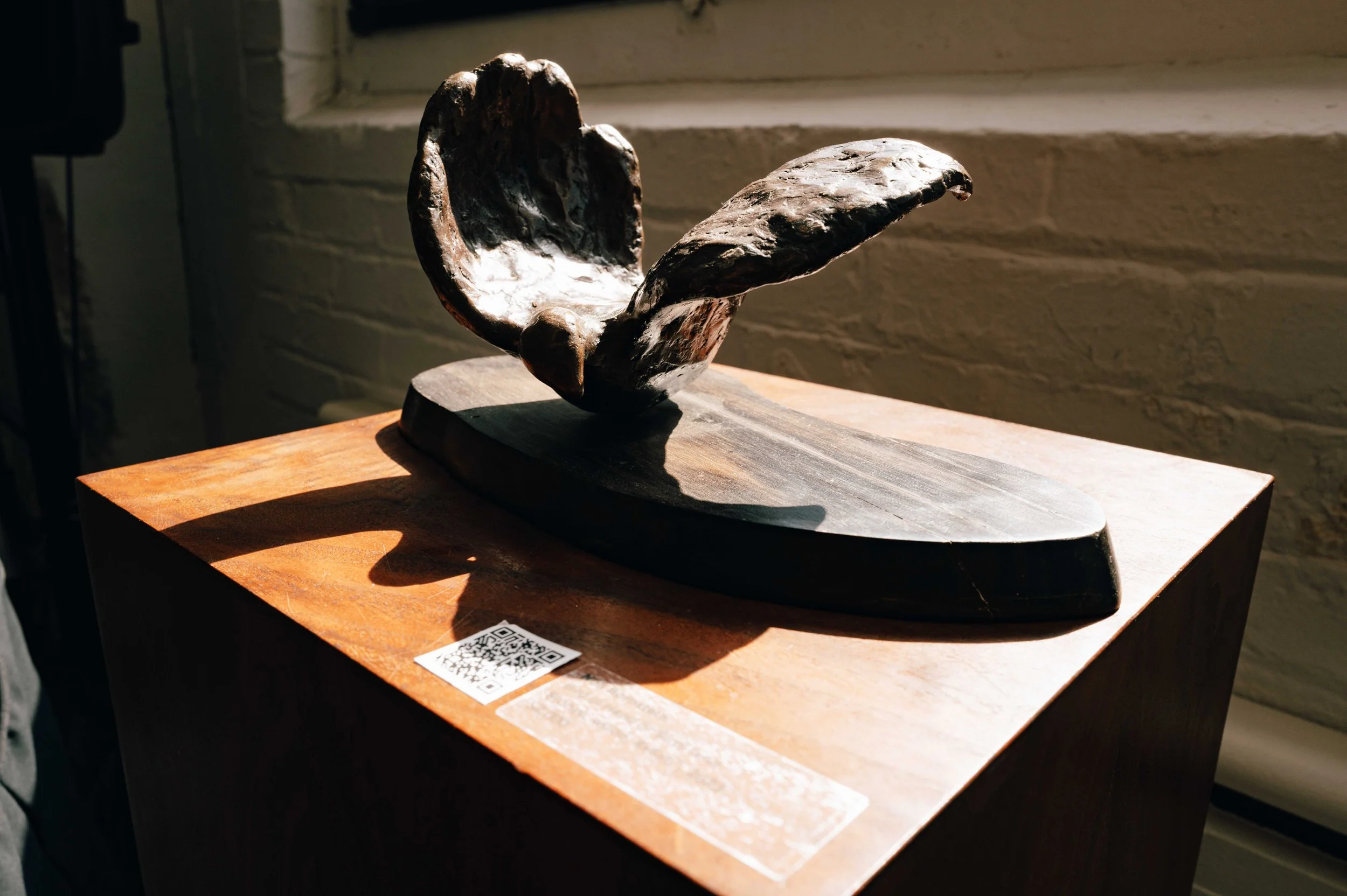 S&R_ankydyn gallery25.jpg