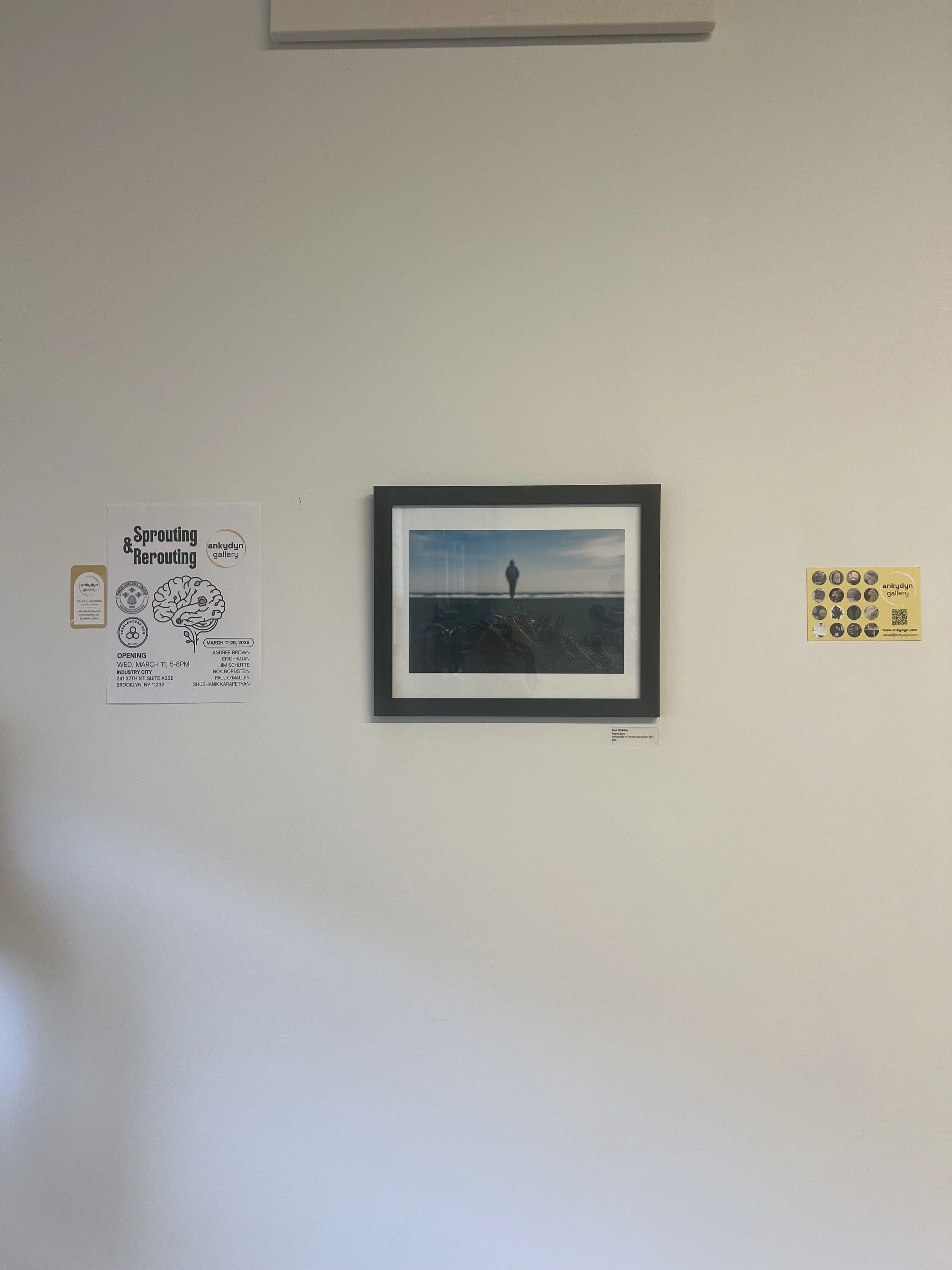 paul 5_ankydyn gallery sprouting & rerouting 2.jpeg