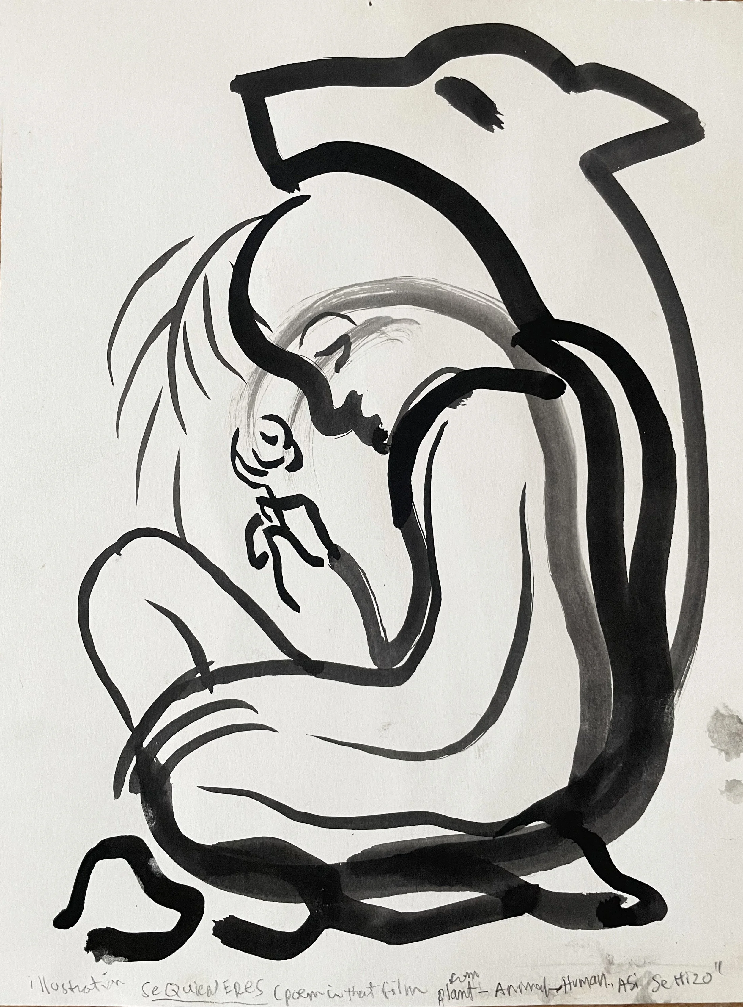 Noa-Asi Se Hizo -that's how it was done-stone- plant-anima-human-consciousness.jpg