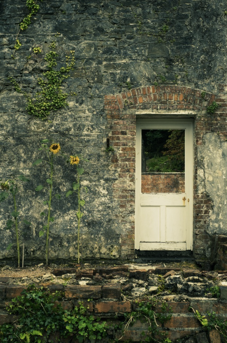 Screenshot 2026-02-02 at 8.54.49 PM.png