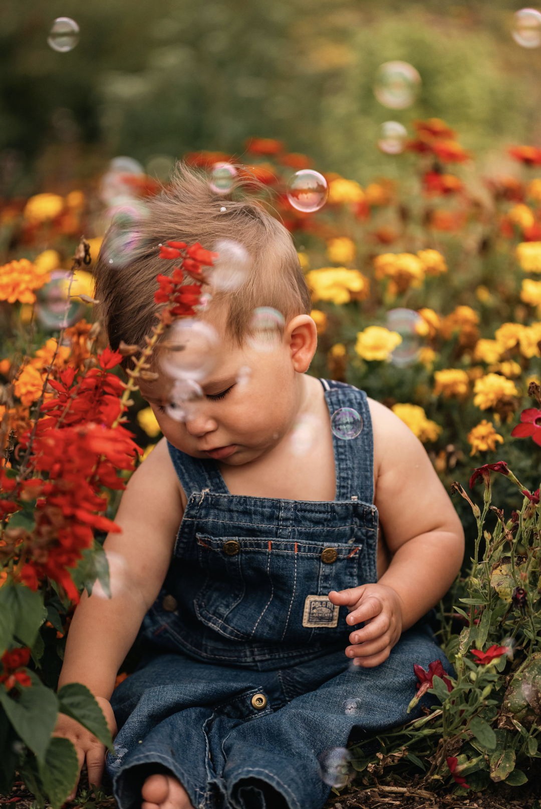 Birthday and Family Shoot