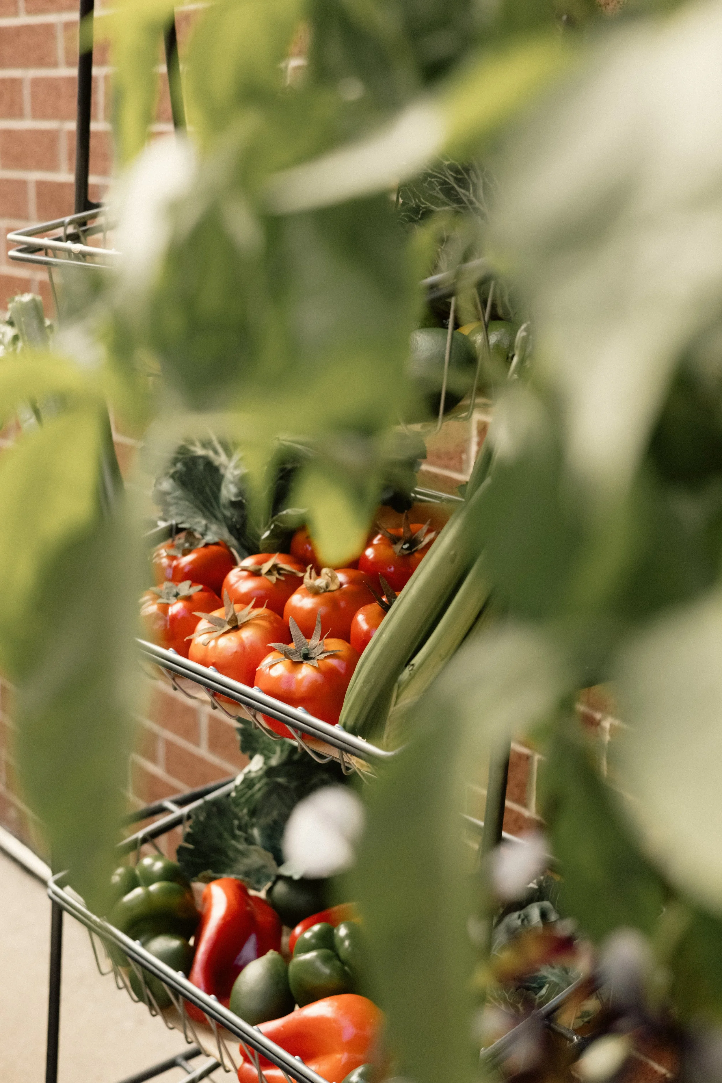 A shopping cart filled with various fresh vegetables, including tomatoes, bell peppers, and cucumbers, seen through green leaves in the foreground with a brick wall in the background.