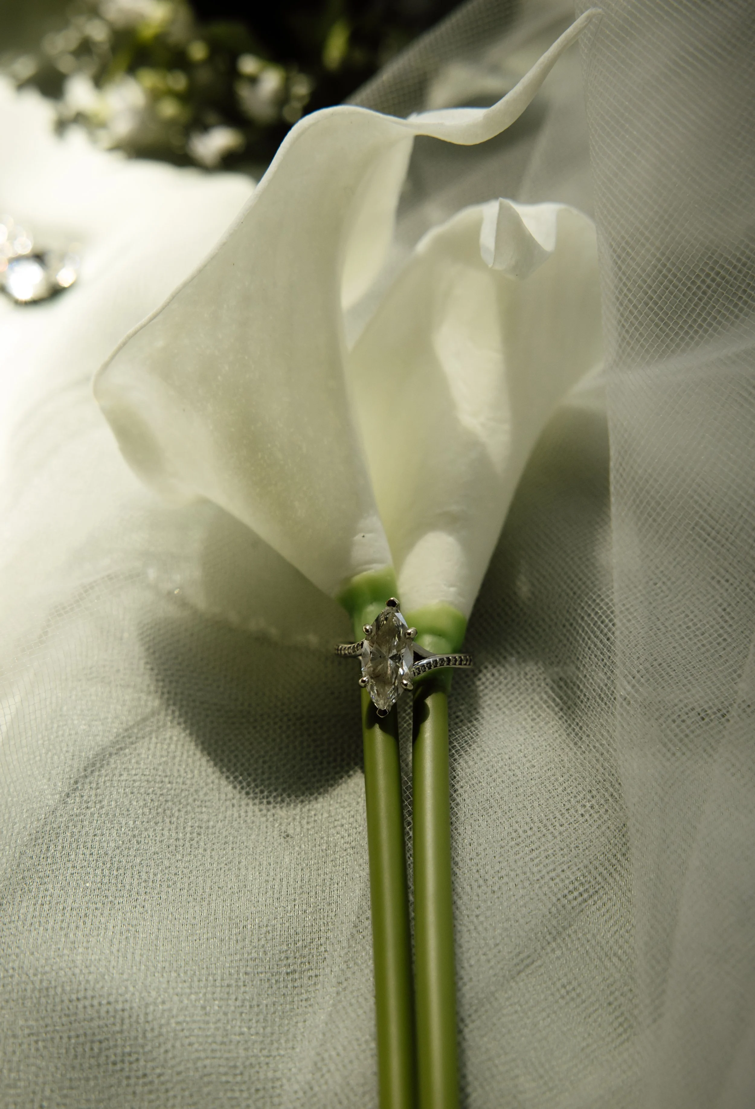 Flower Detail Shot