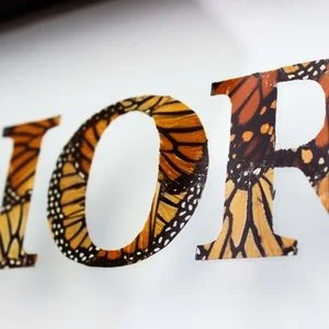 Butterfly Typography