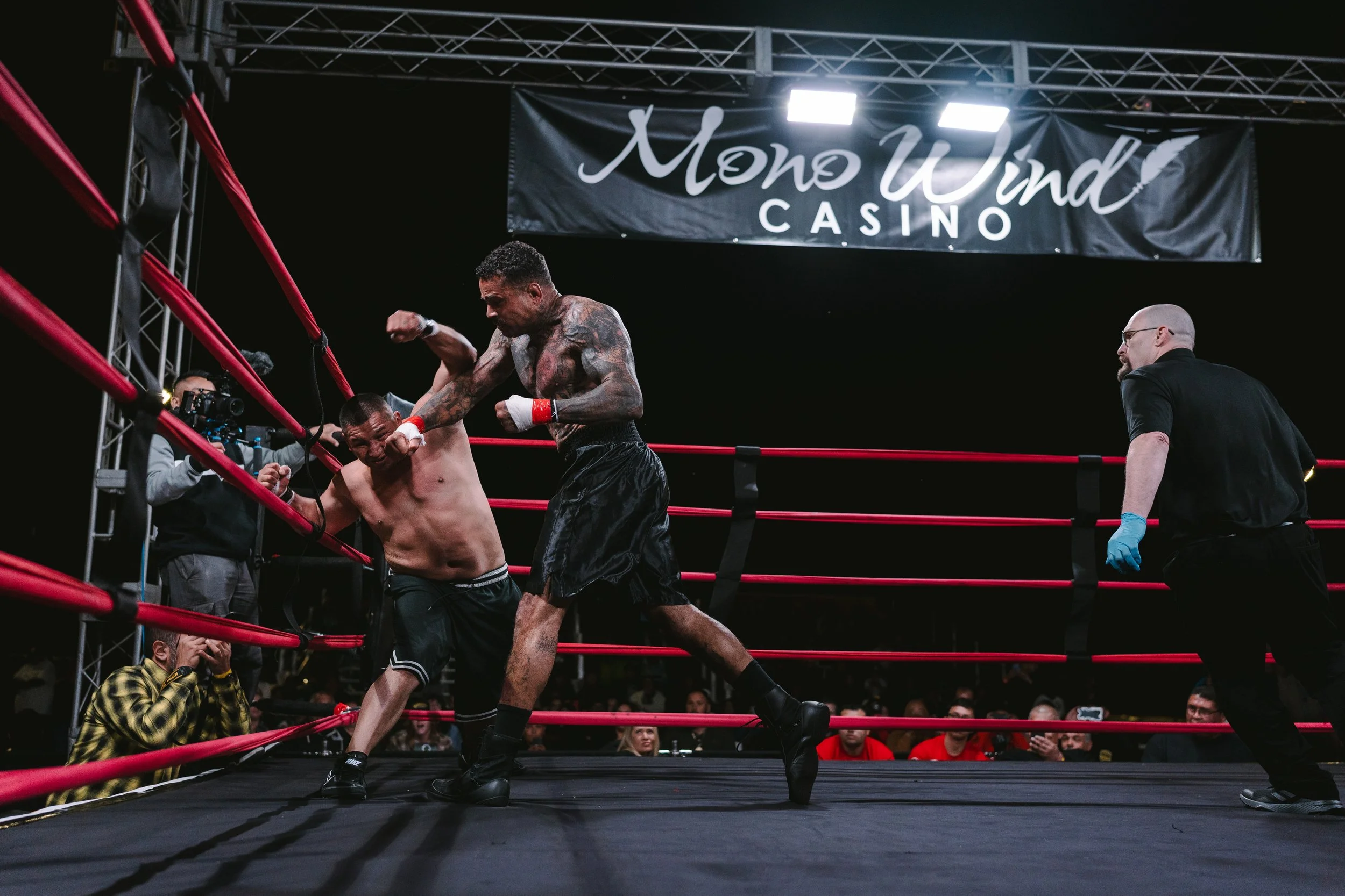 2039_BDBKB5_Fights.jpg