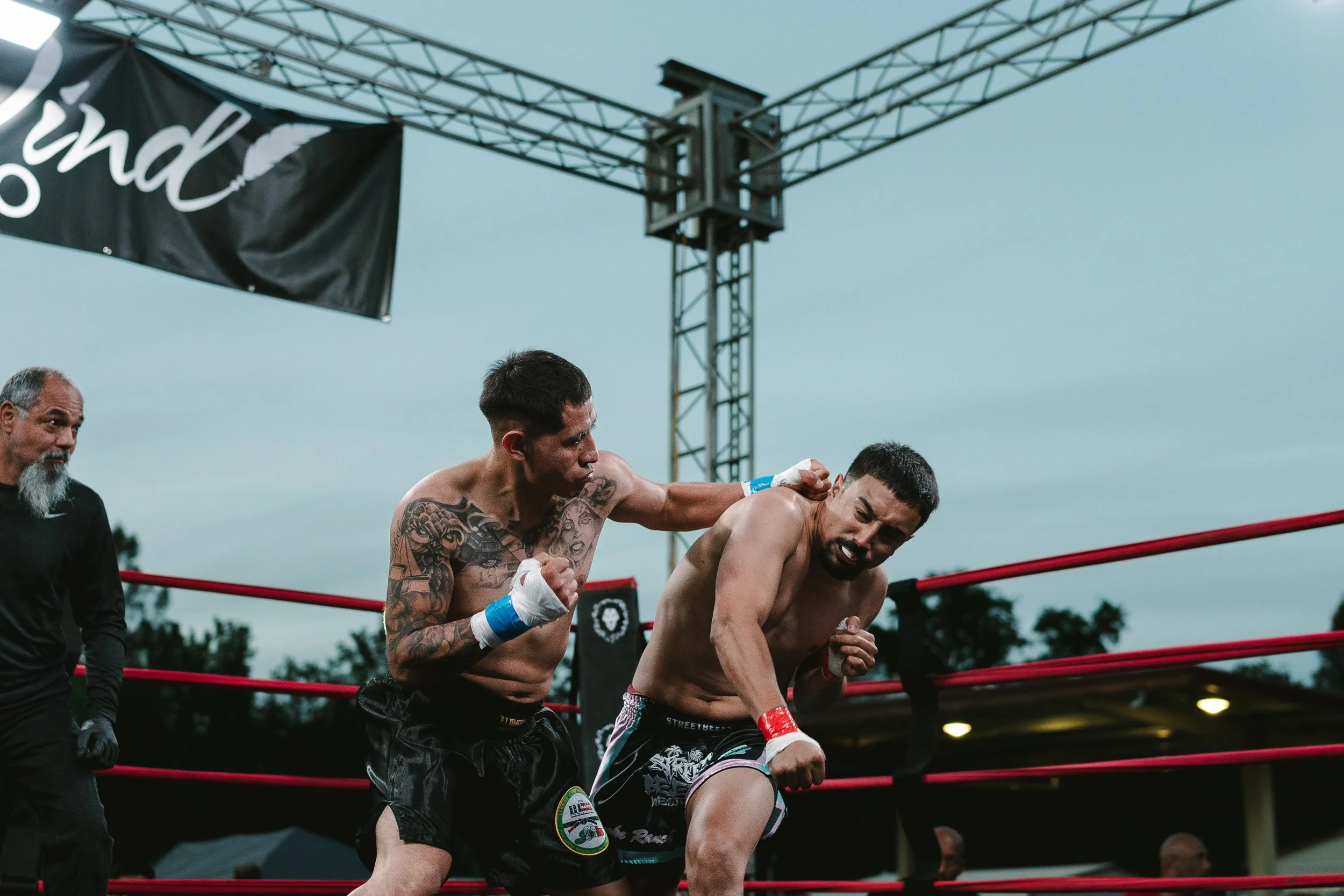 2299_BDBKB5_Fights.jpg