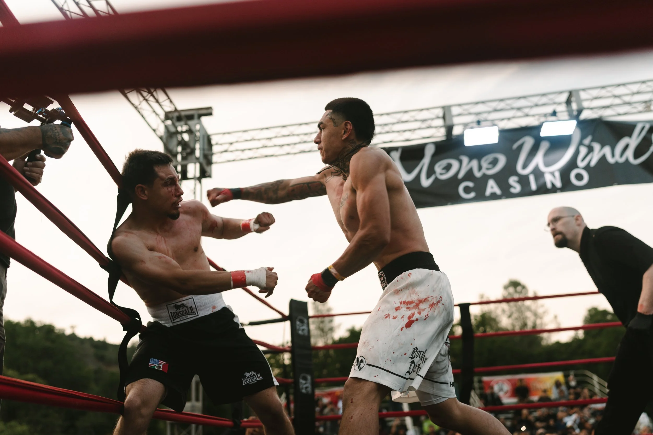 946_BDBKB5_Fights.jpg