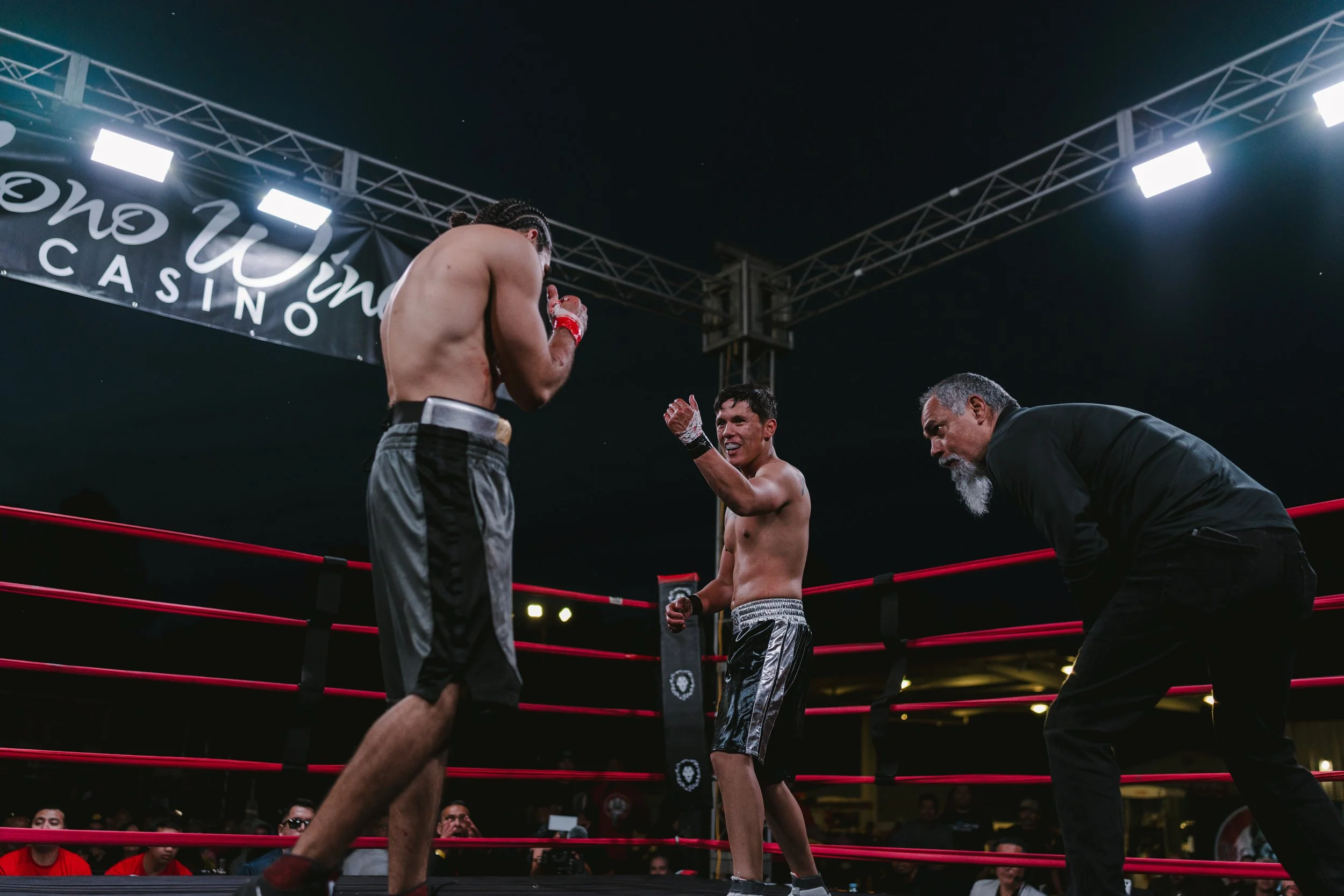 1464_BDBKB5_Fights.jpg