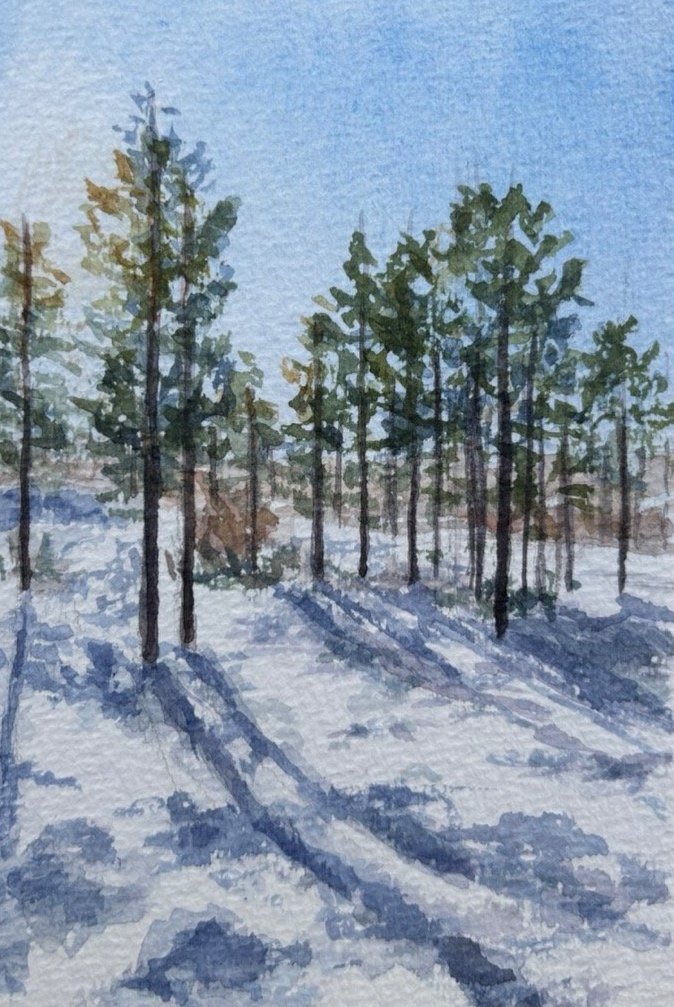 Shadows on the Snow*