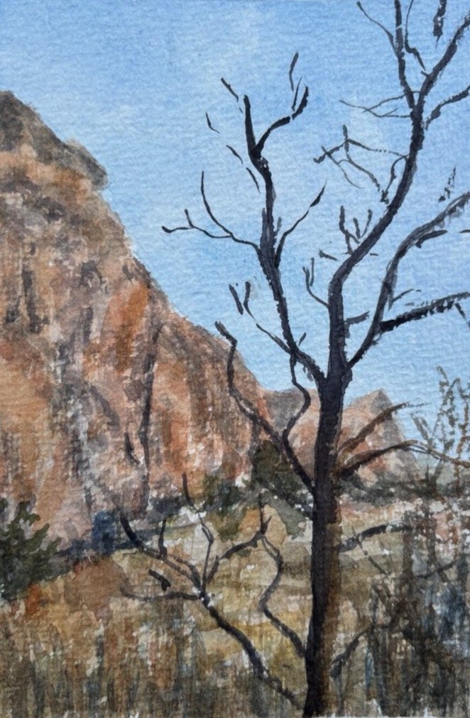 Garden of the Gods*