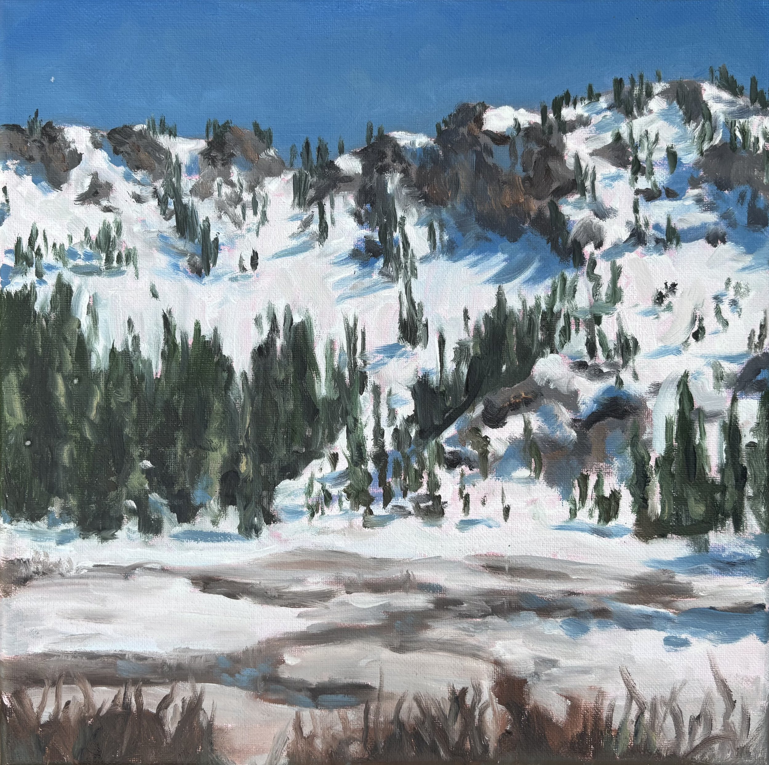 Mary's Lake- Winter*