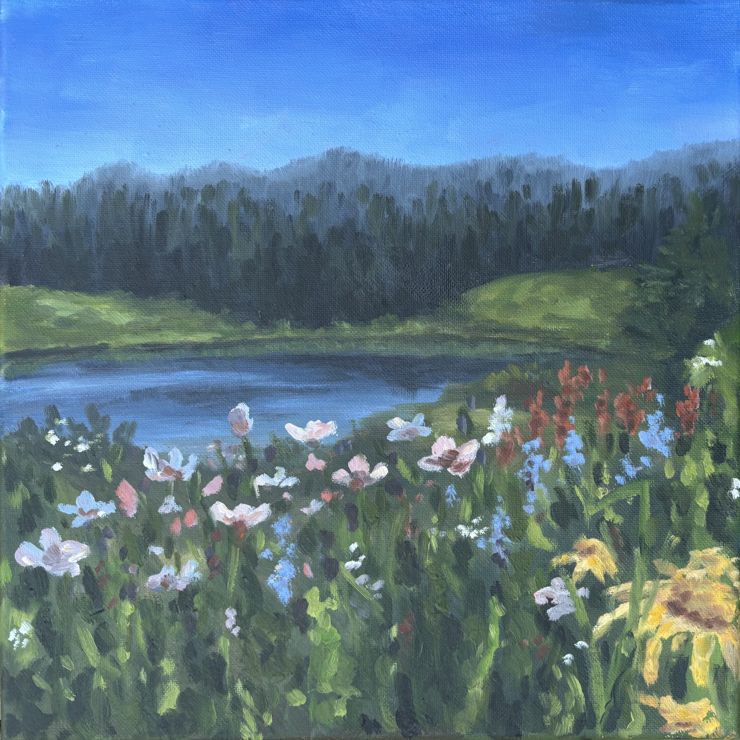 Chalk Creek- Spring*