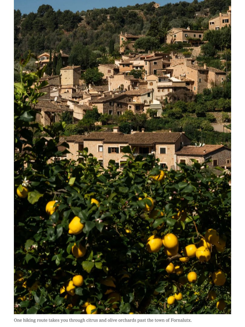 NYTimes - Mallorca Trails