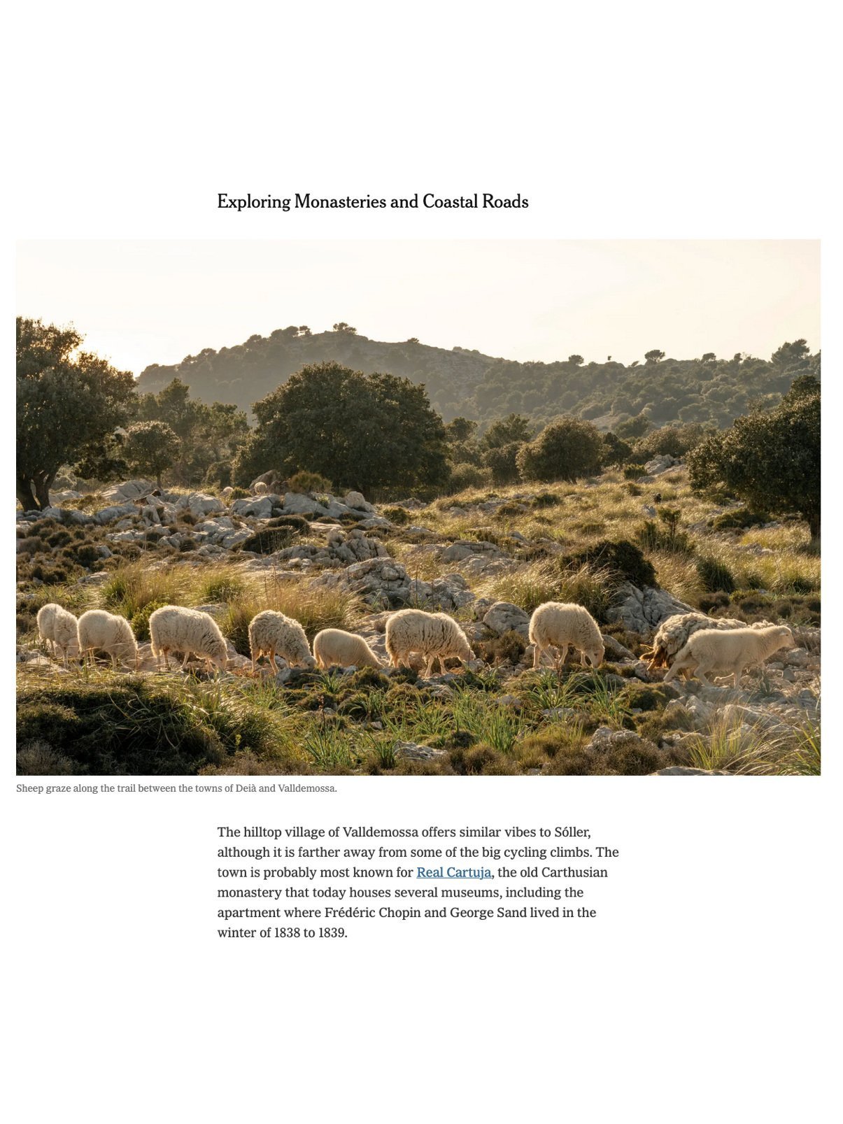 NYTimes - Mallorca Trails