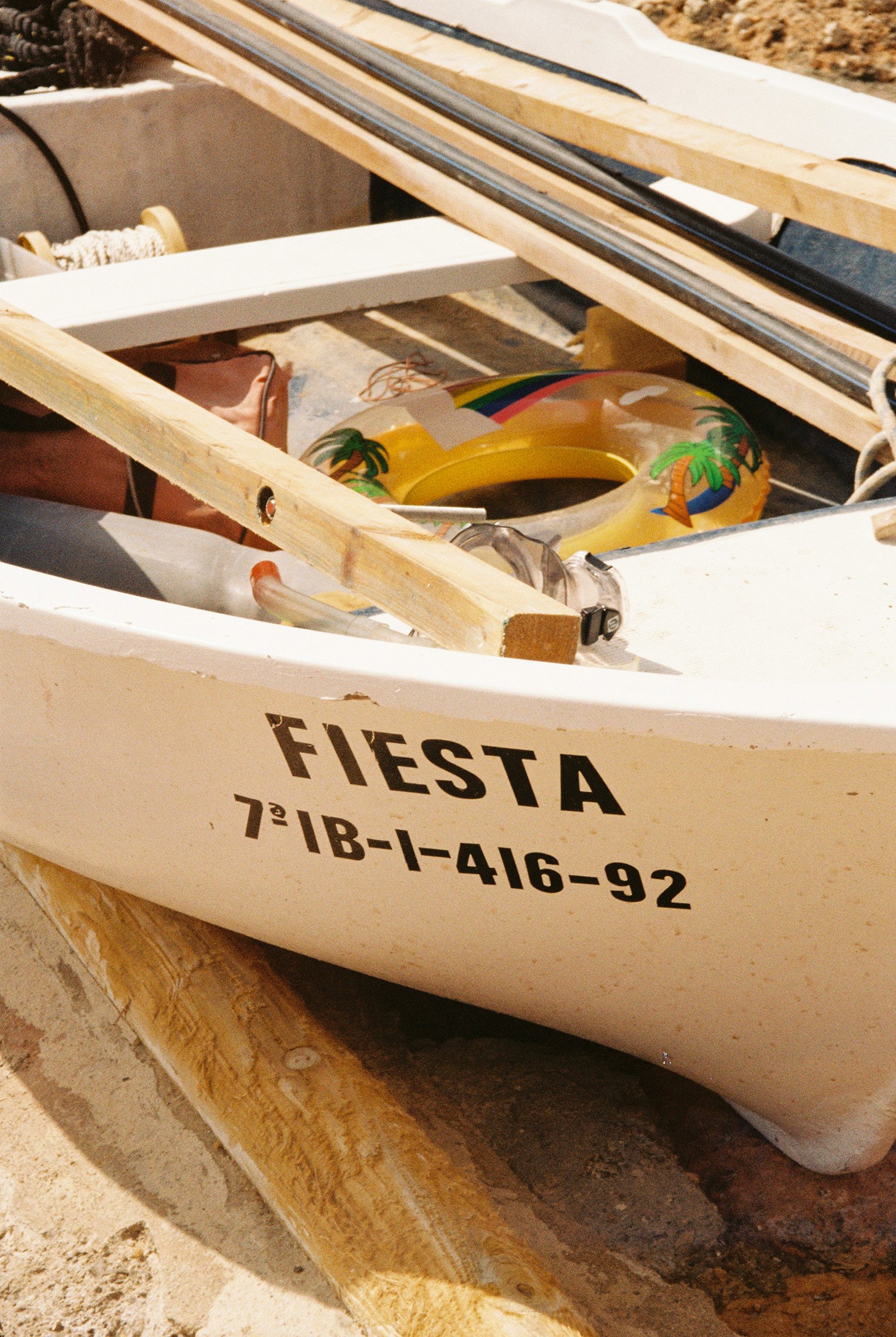 Fiesta - Sofia Gomez Fonzo.jpg