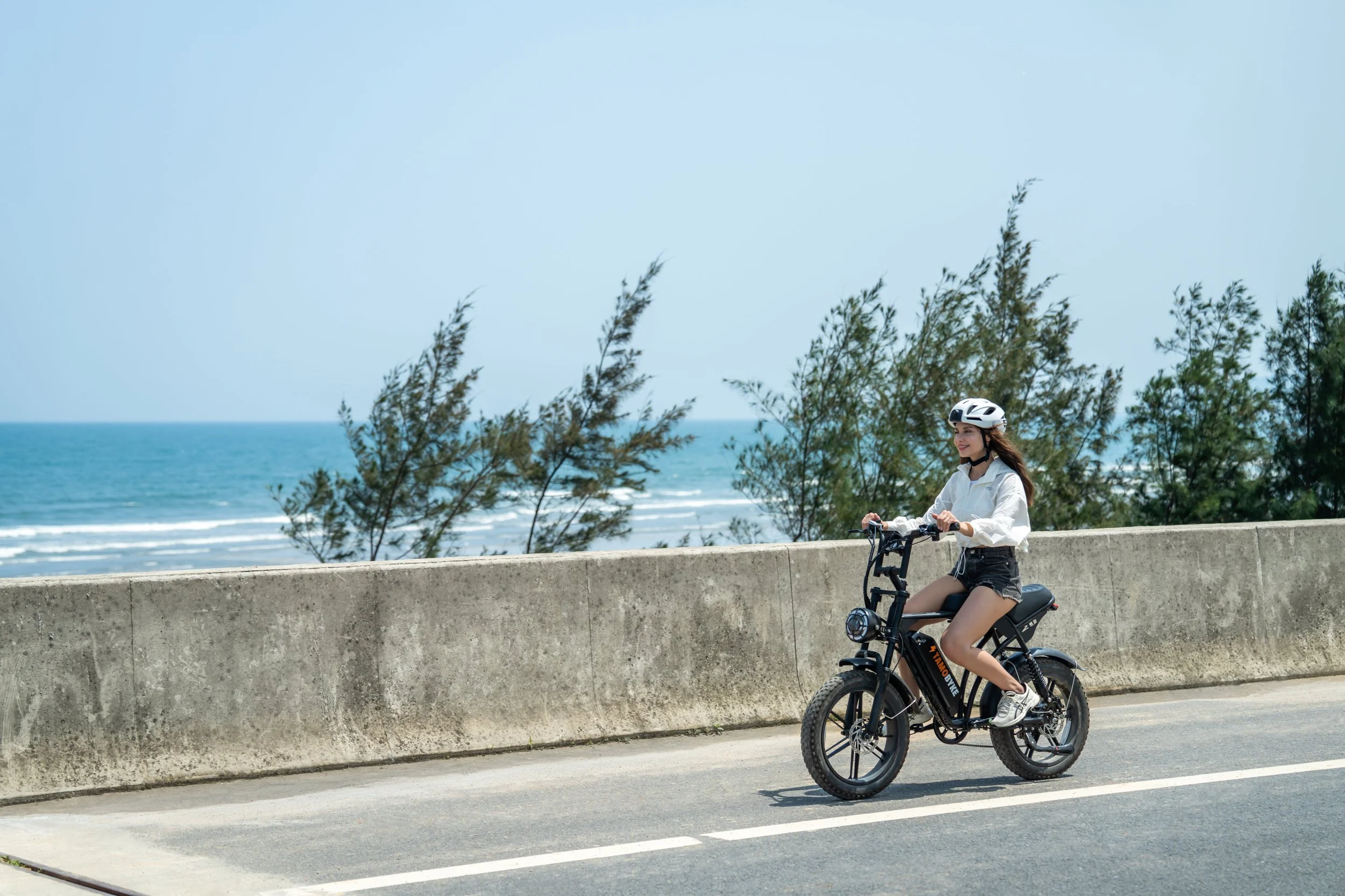Why QMWheel Fatbikes Are the Future of Urban Mobility
