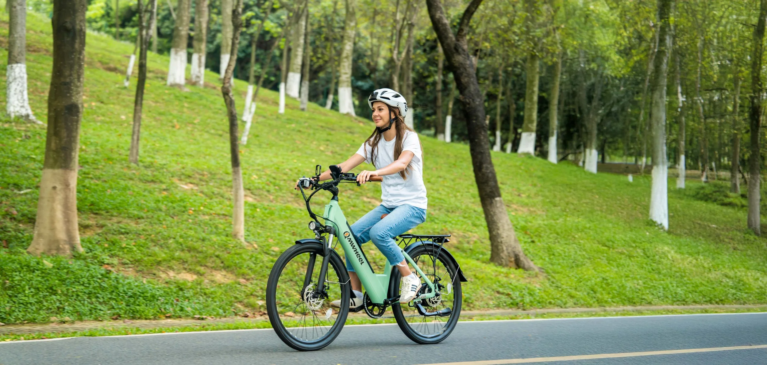 Electric Mobility Trends in Europe – The Rise of the Fatbike