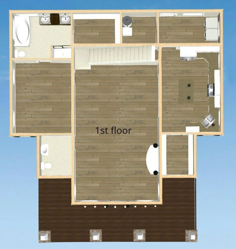 Updated Willow - birdeye - 1st floor.jpg