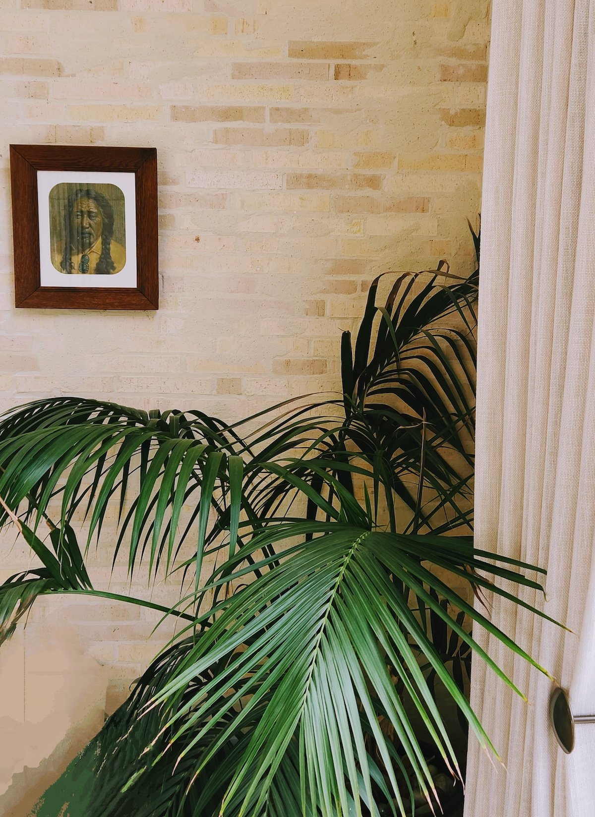 Light textured brick wall with a photo artwork on it and palm indoor plant infront.