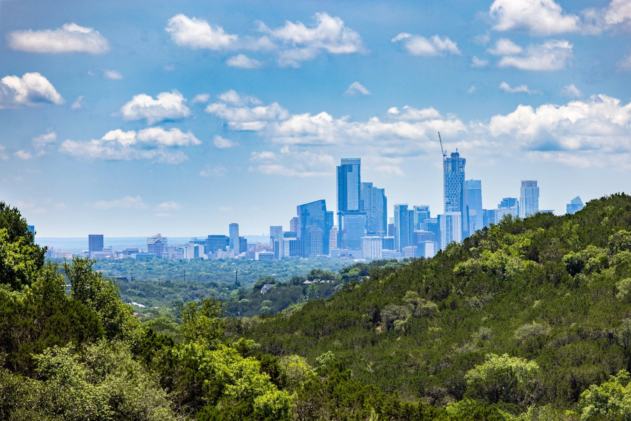 View of a city skyline with tall buildings and a construction crane, seen from a green, wooded area on a bright day with scattered clouds in the sky.