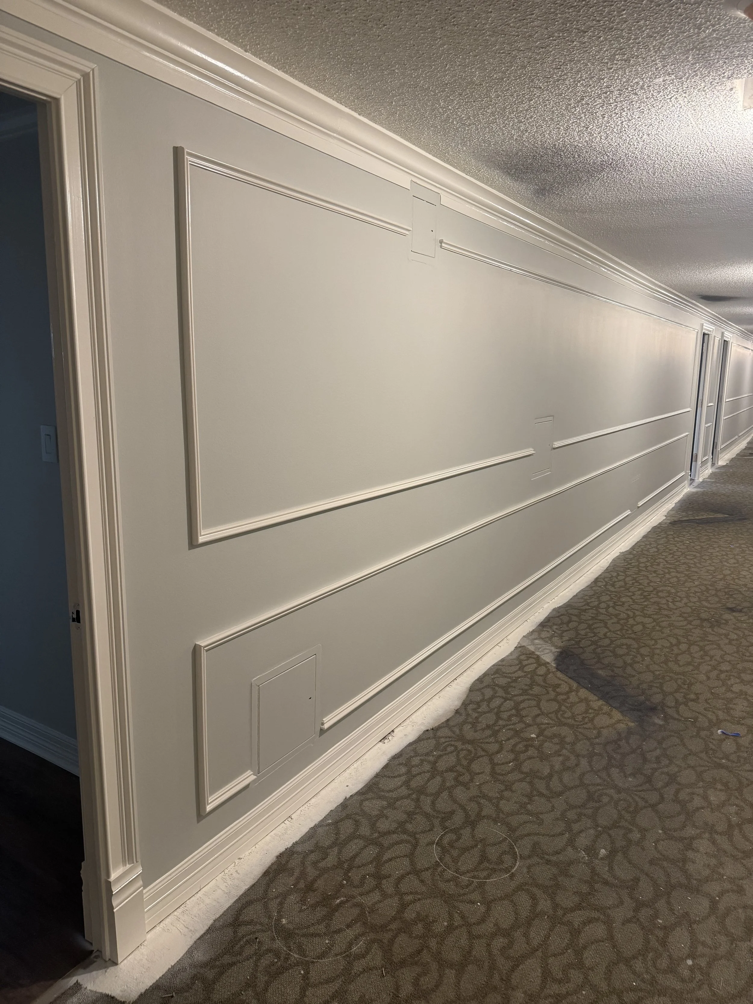 Interior wall with decorative molding and trim, partially painted, next to patterned carpeted floor.